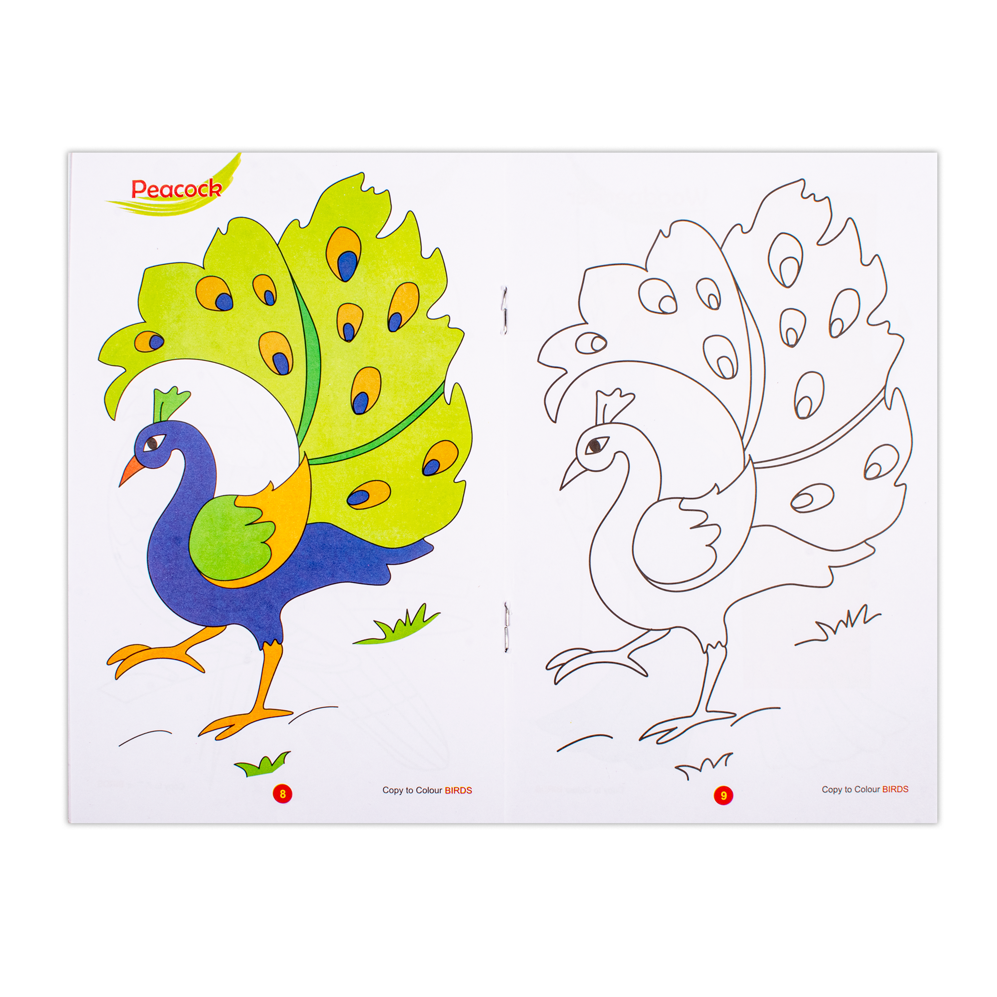 Copy To Colour Birds 1Book