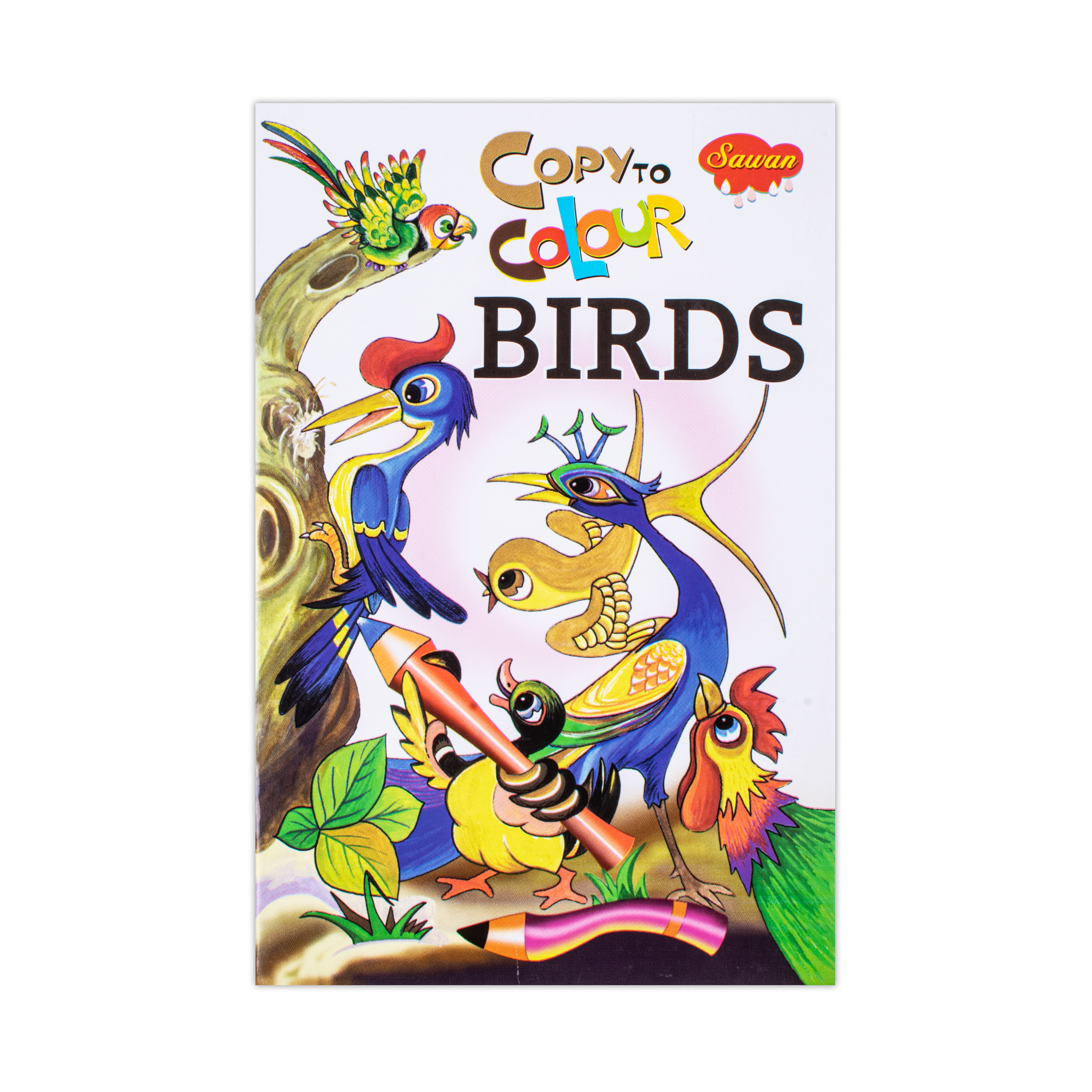 Copy To Colour Birds 1Book