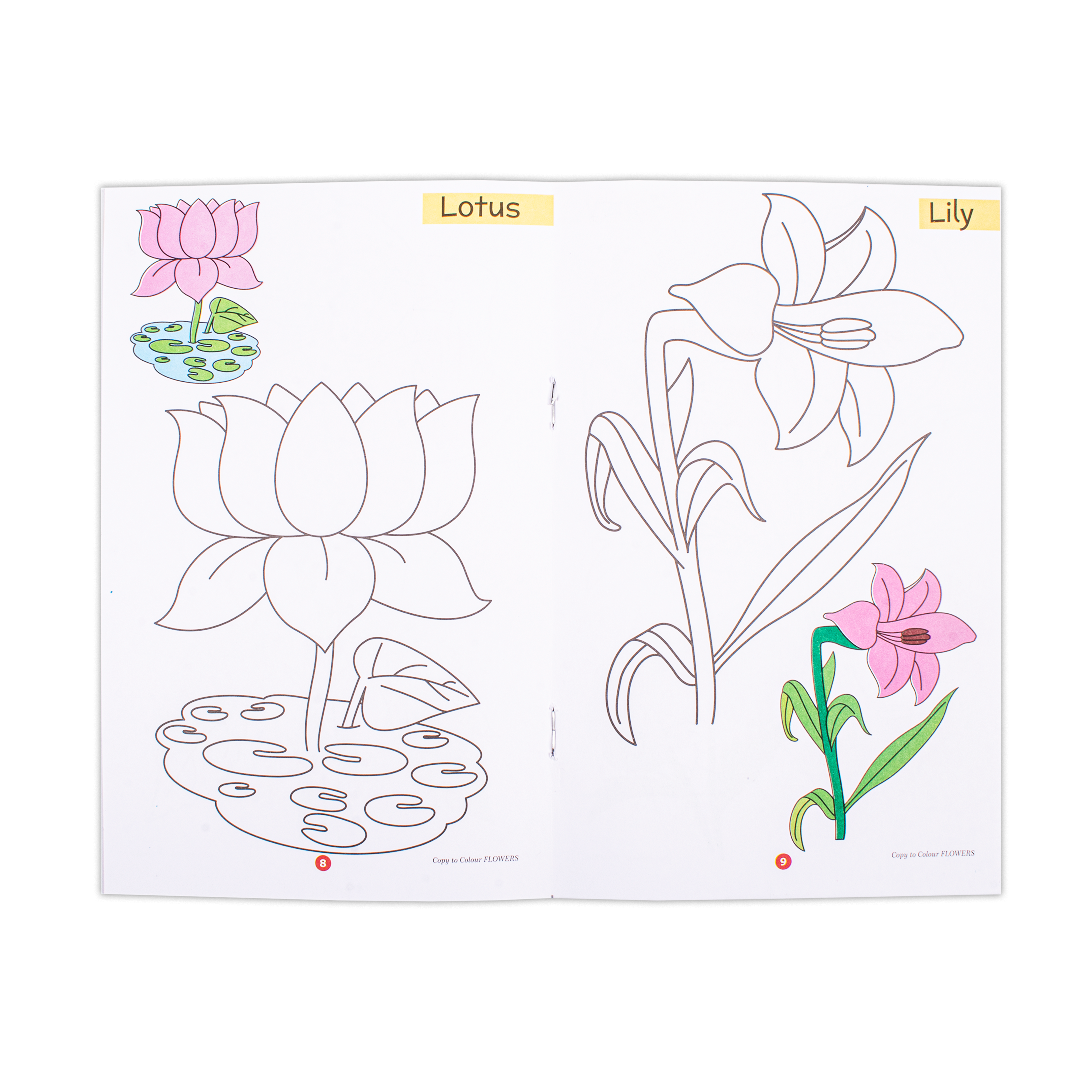 Copy To Colour Flowers 1Book