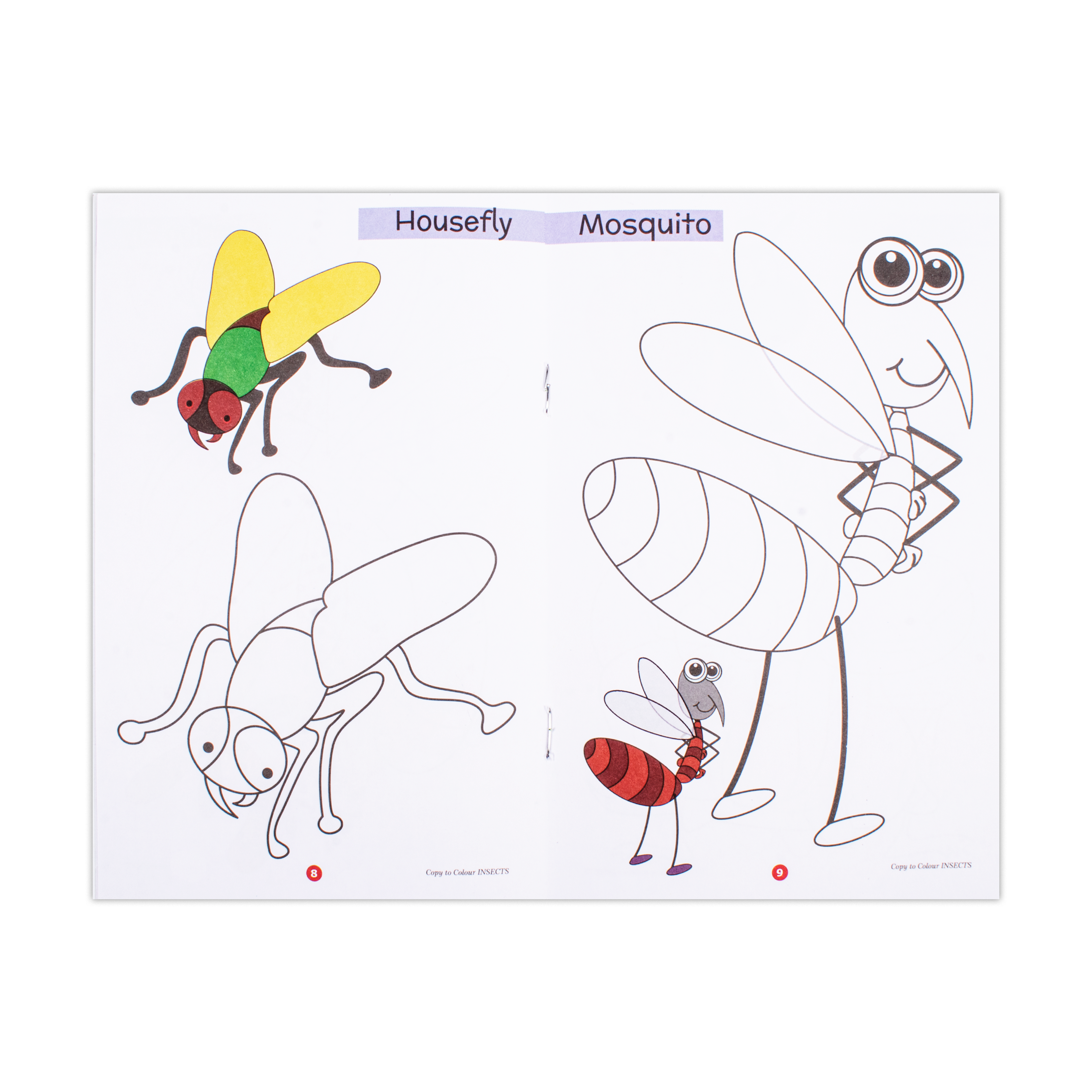 Copy To Colour Insects 1Book
