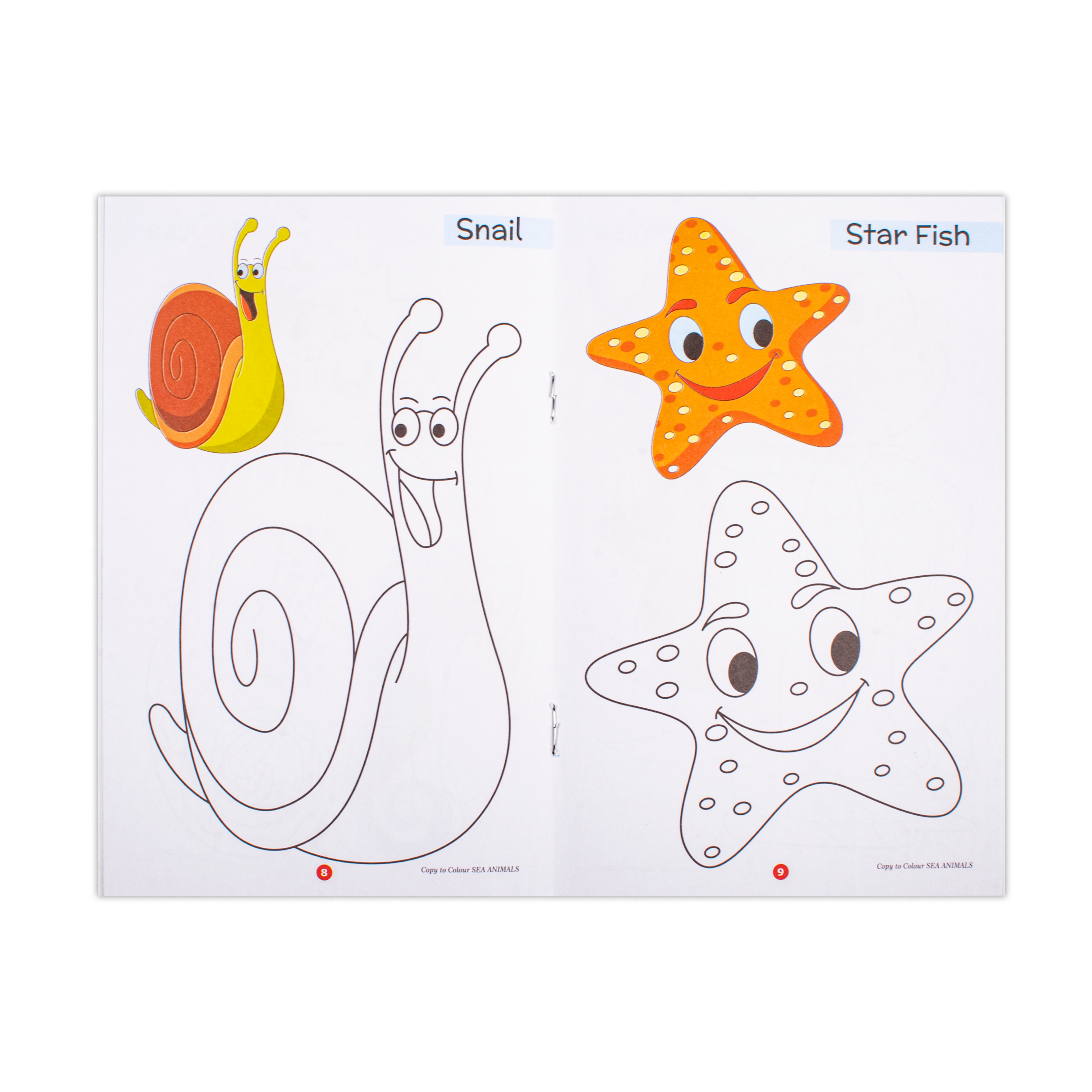 Copy To Colour Sea Animals 1Book