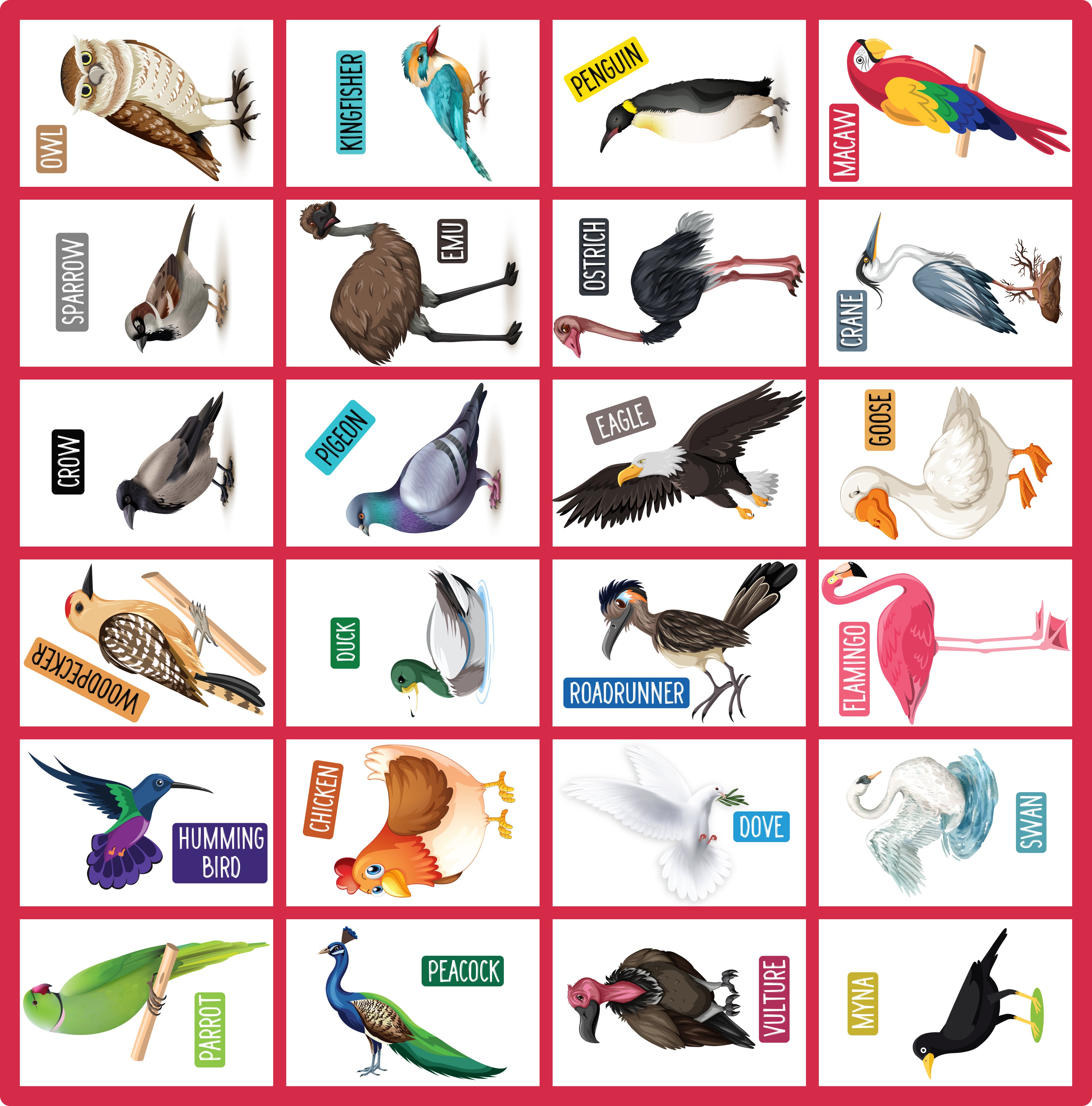 Memory Game Birds Kit 1Box Lb