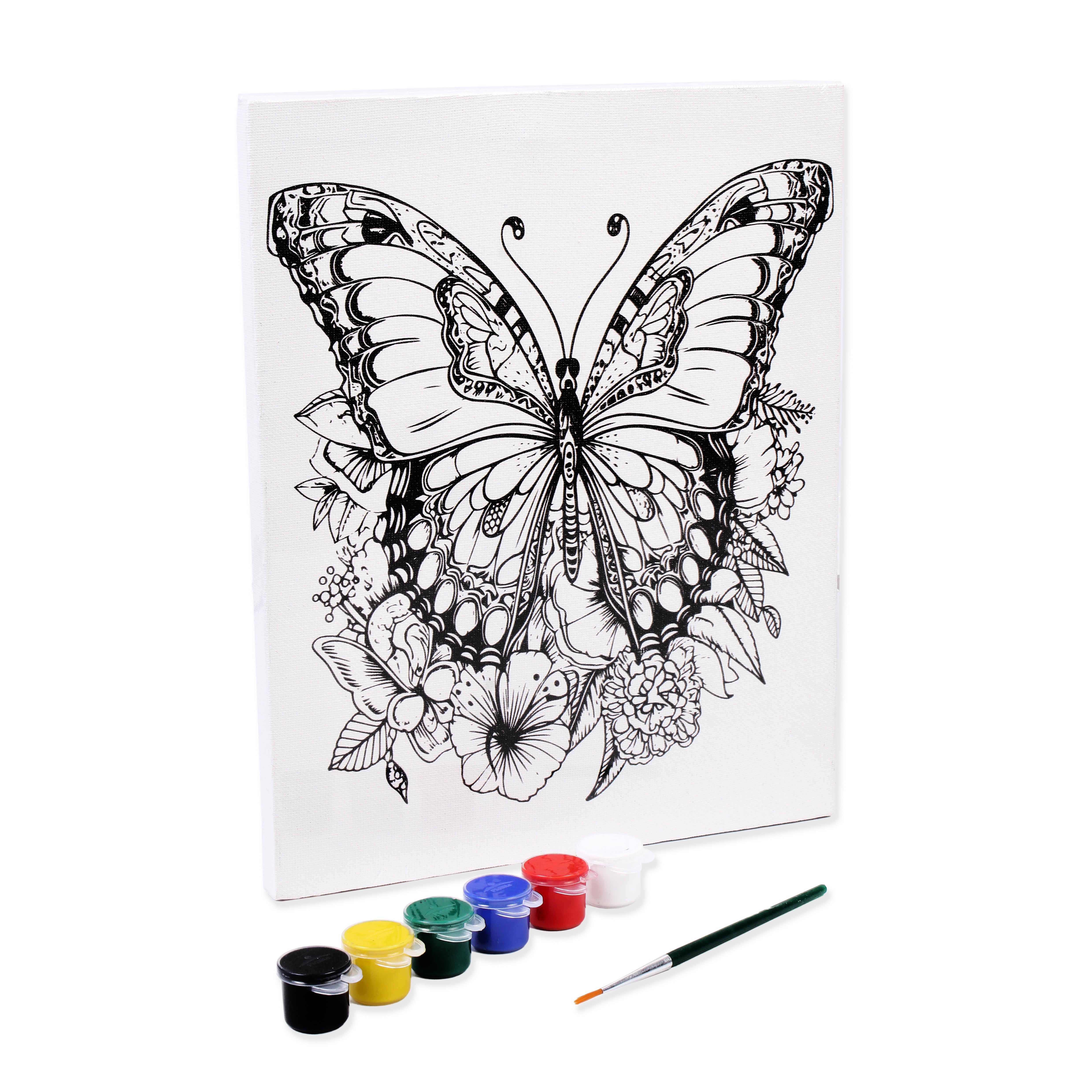 Pre -printed Canvas With Colours Butterfly Beauty Painting Kit 8 X10inch