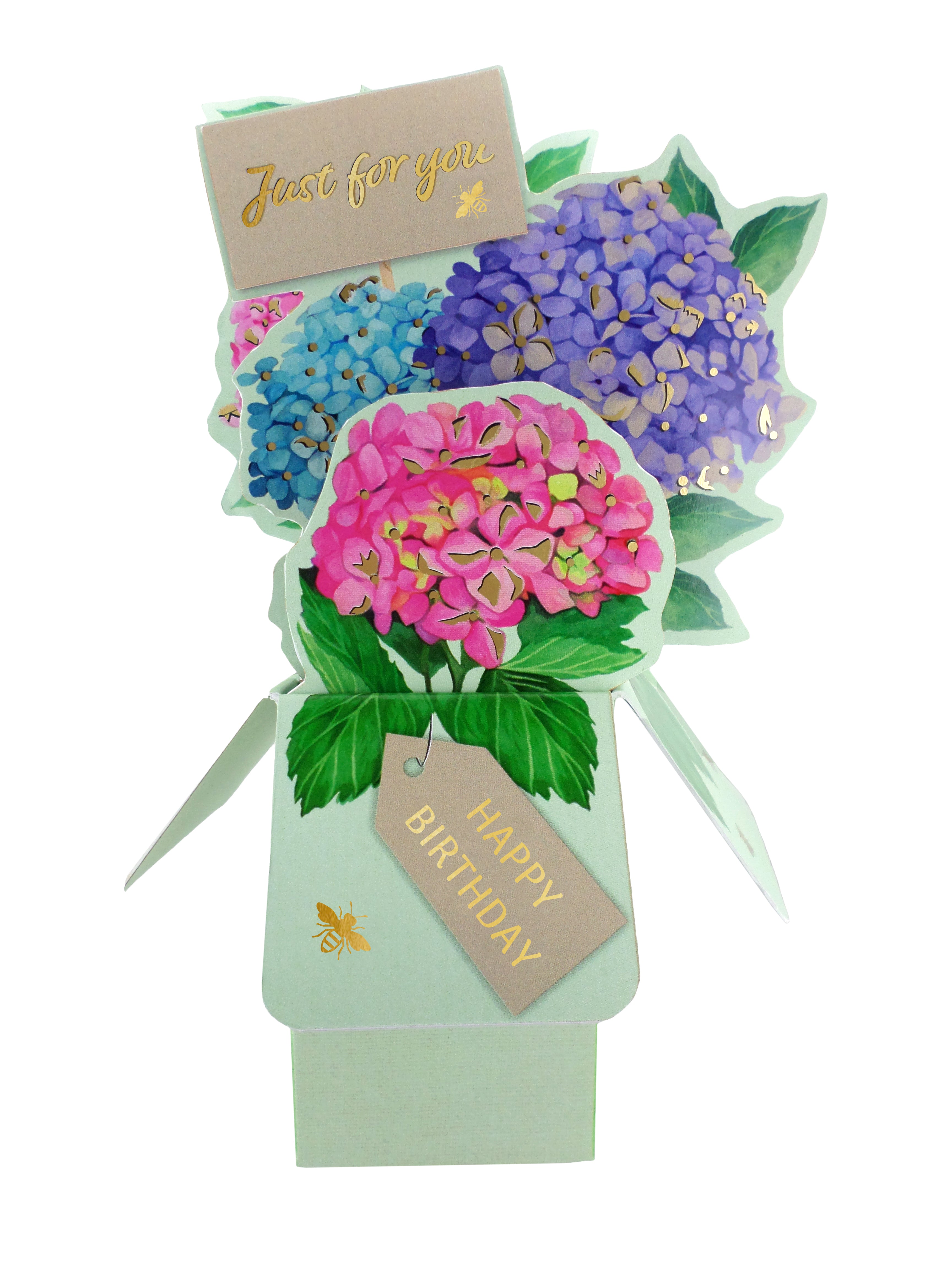 3D Pop Up Greeting Card & Envelope - Happy Birthday | Hydrangeas Theme