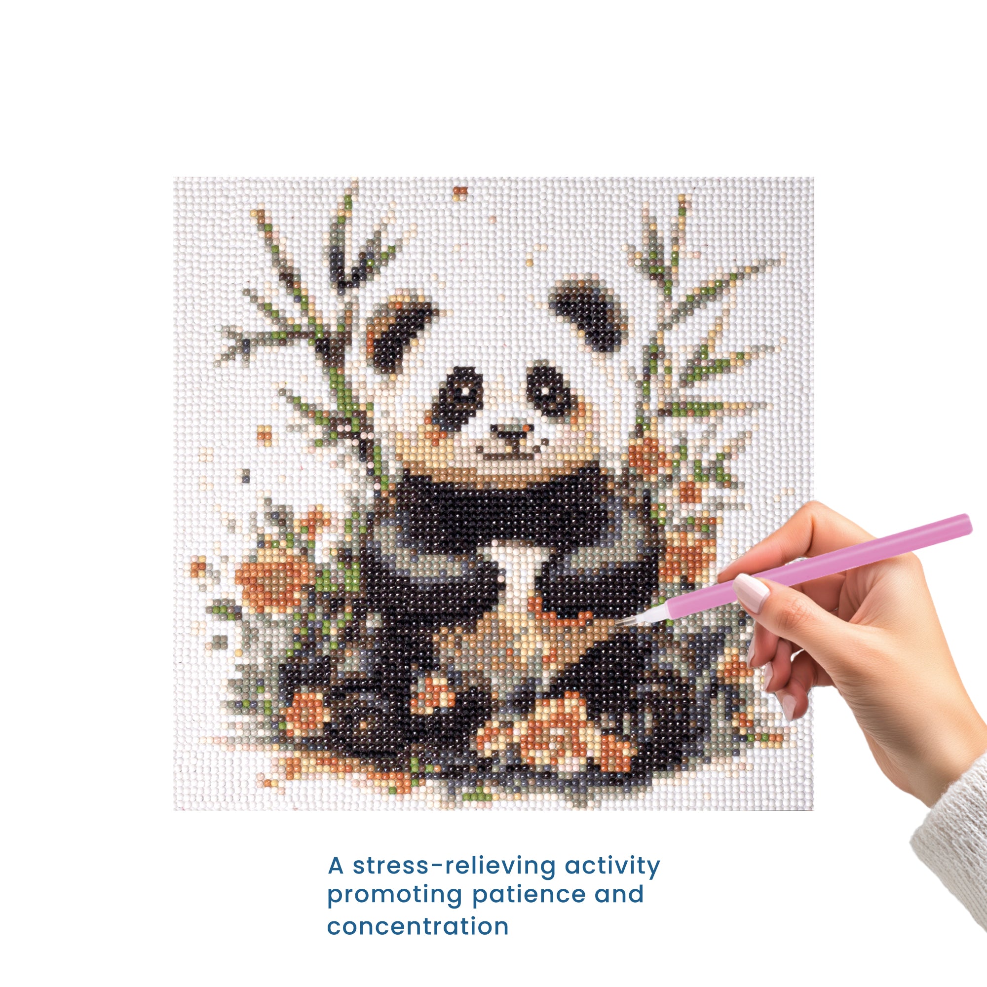 5D Diamond Painting Kit Playful Panda 30 X 30cm 1pc Acetate Box