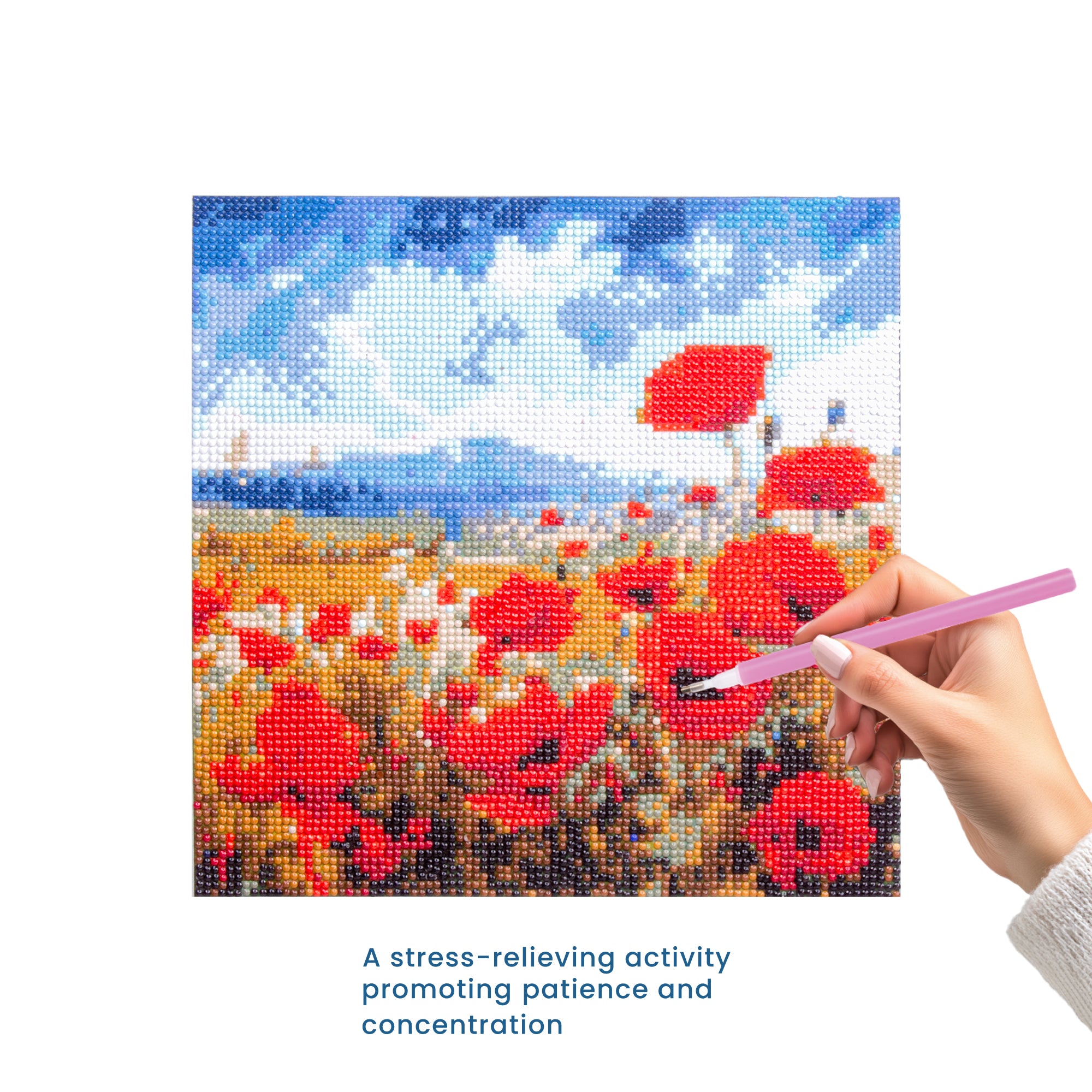 5D Diamond Painting Kit Poppy Garden 30 X 30cm 1pc Acetate Box