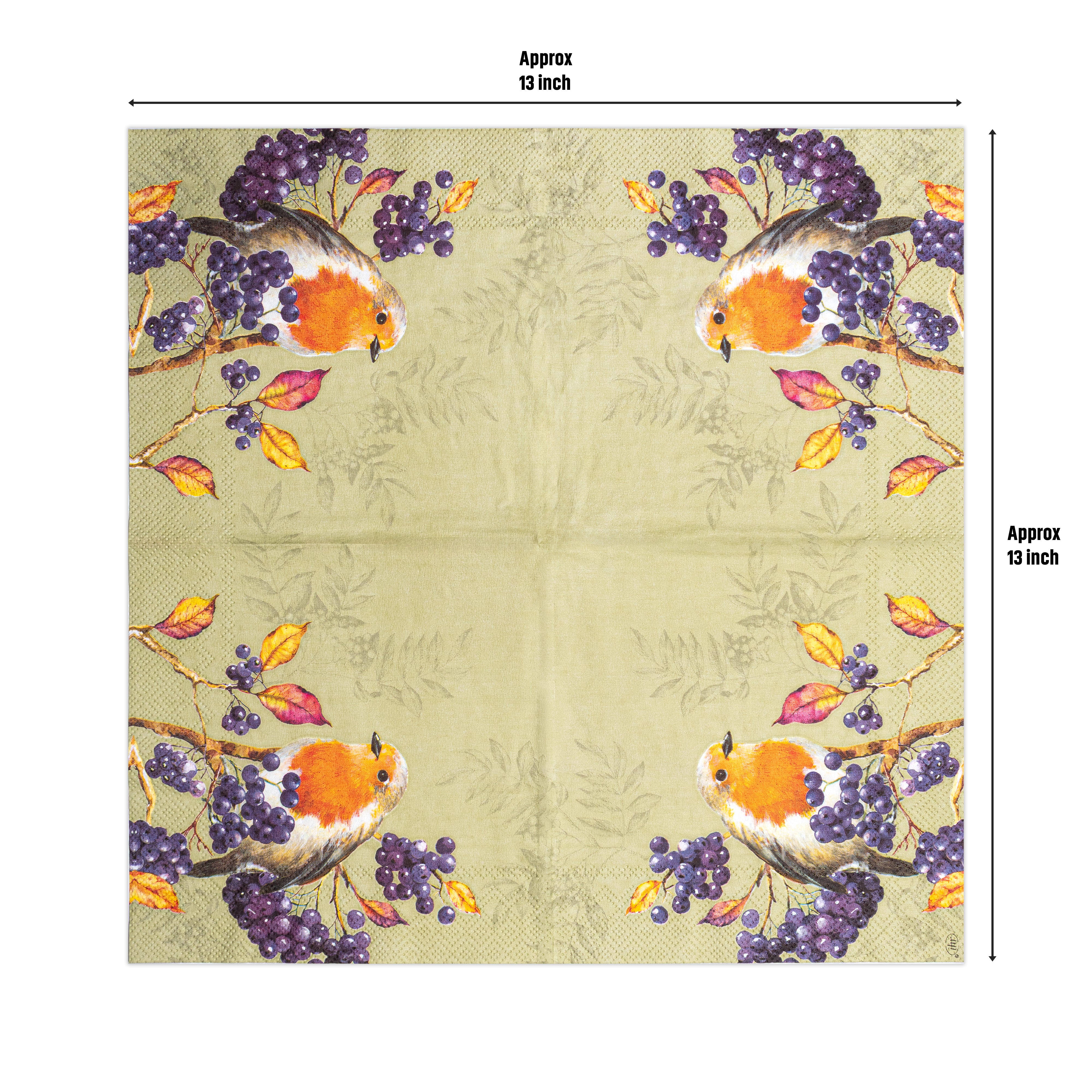 Decoupage Napkin Robin Garden 13 X 13inch 3PLY 1pc