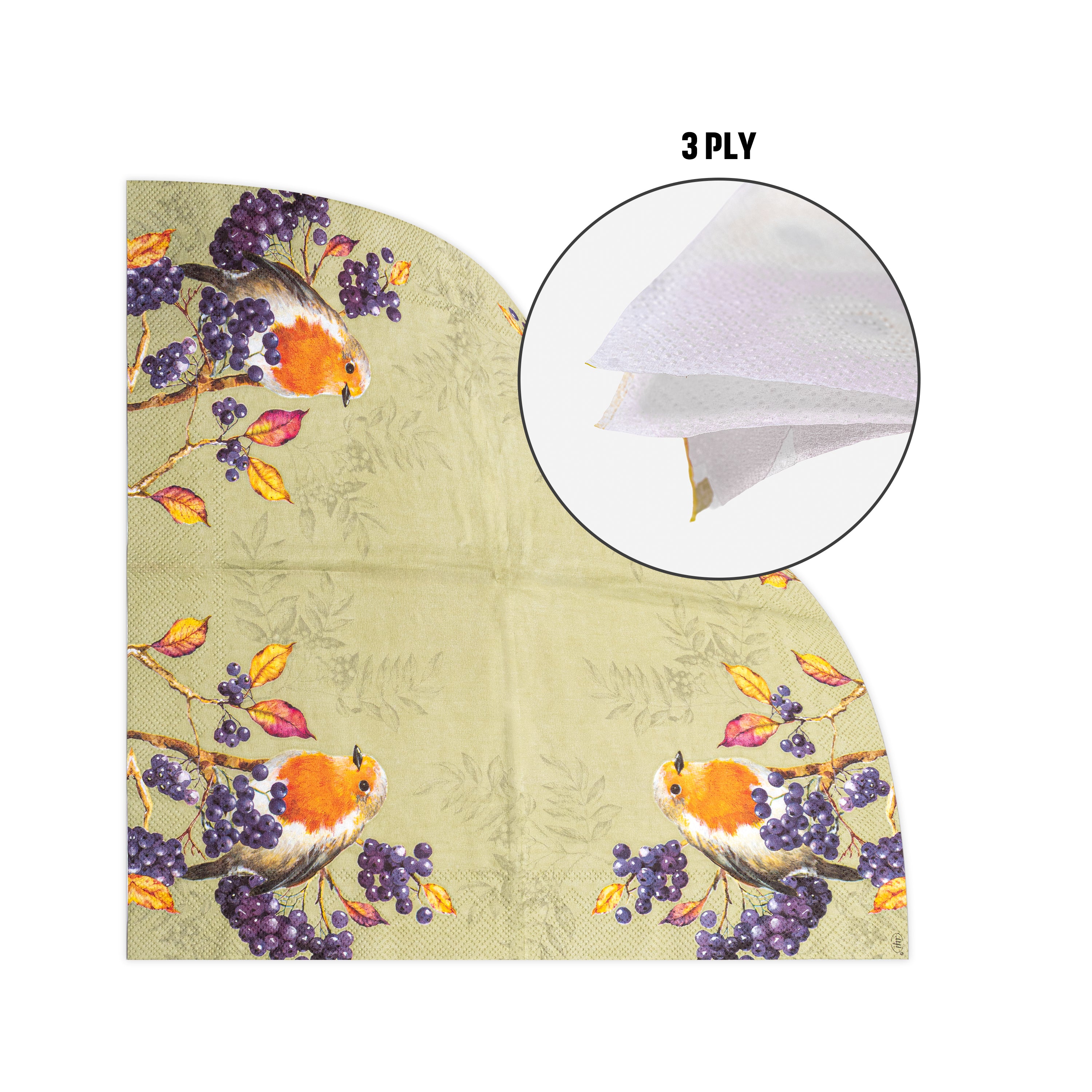 Decoupage Napkin Robin Garden 13 X 13inch 3PLY 1pc