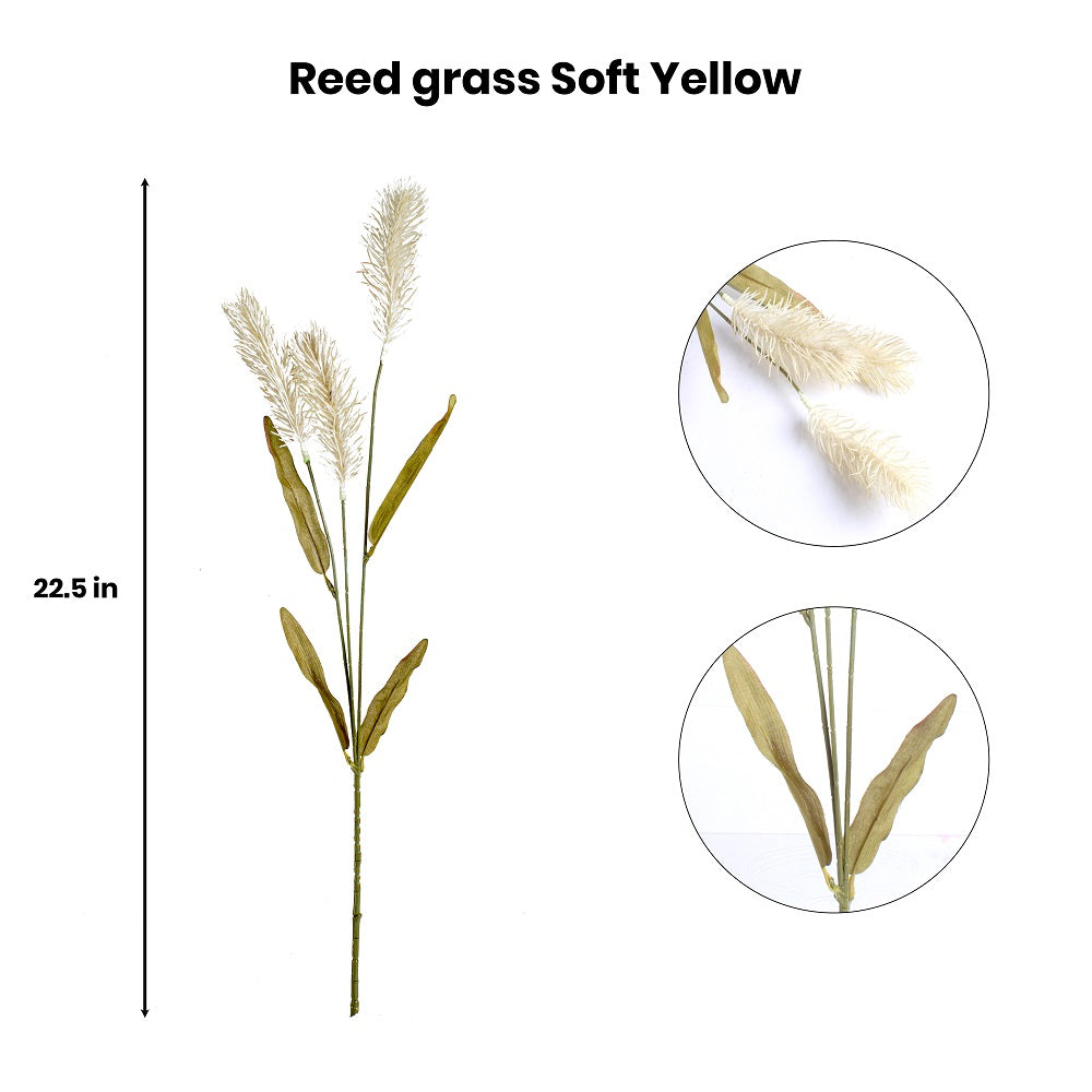 Artificial Flower Reed Grass Soft Yellow 22.5Inch