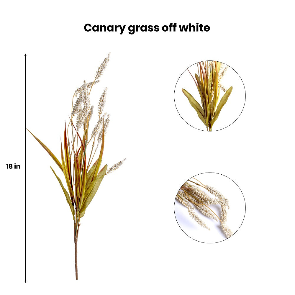 Artificial Flower Canary Grass Off White 18Inch