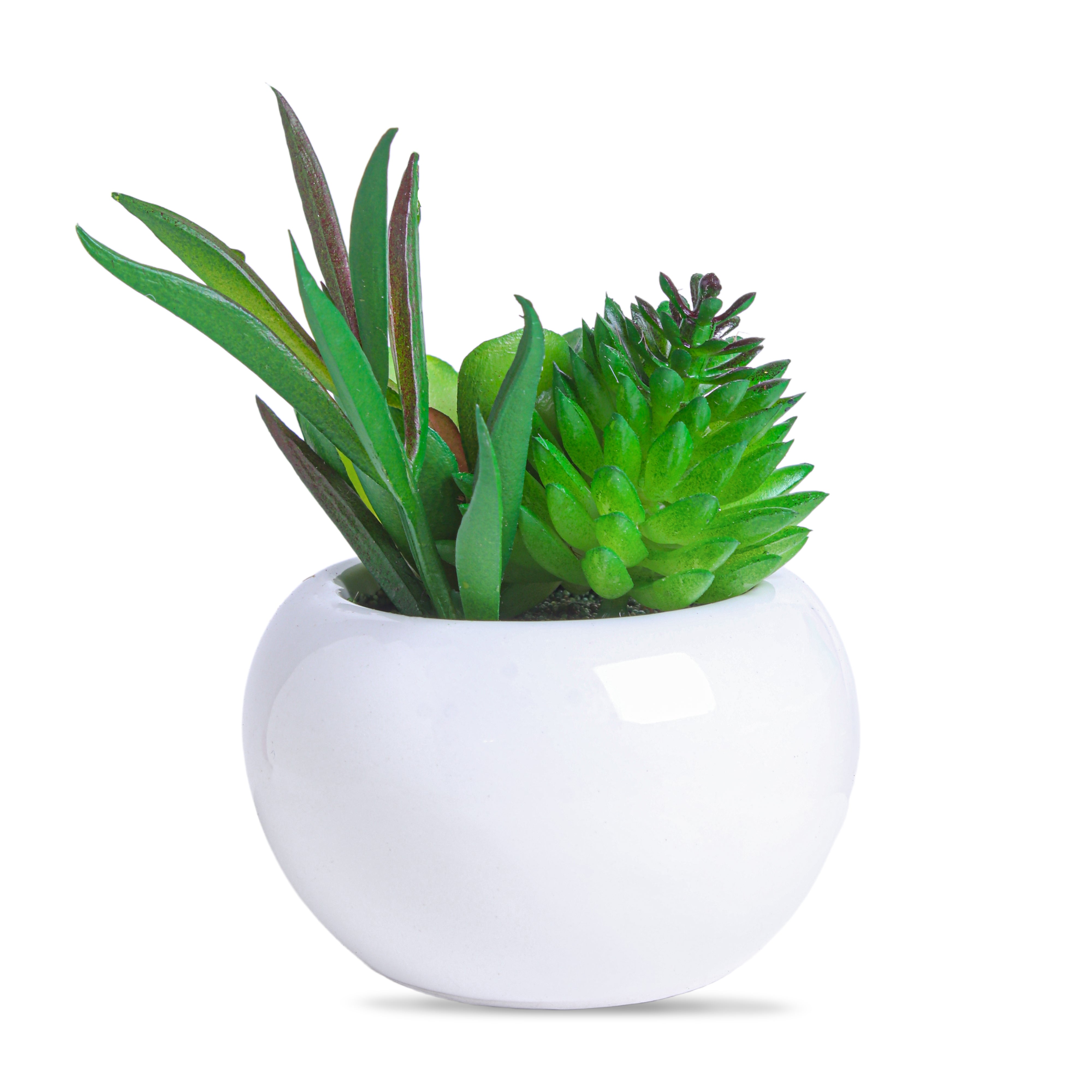 Artificial Flower Succulent Pot Echeveria Emerald 4Inch 1Pot