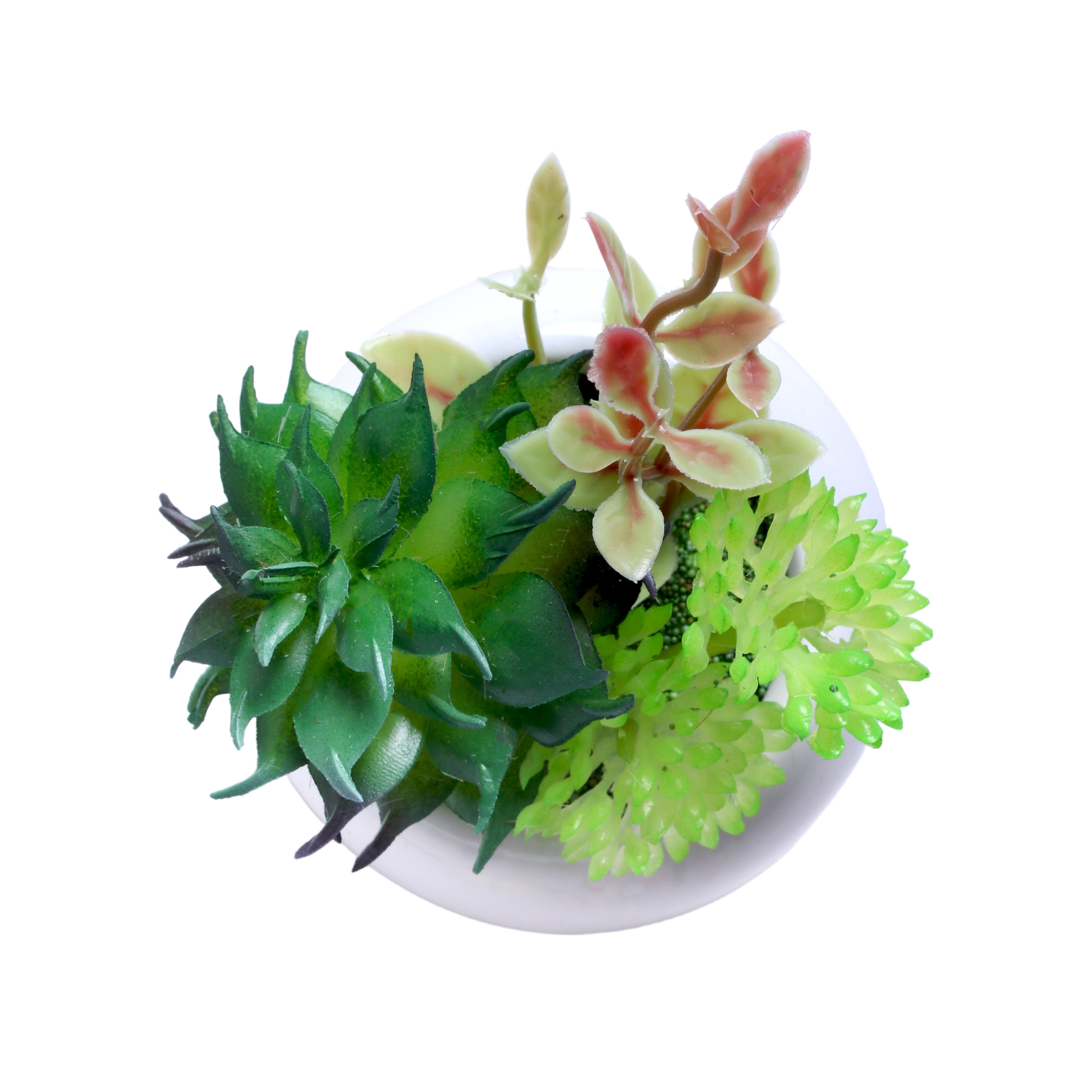 Artificial Flower Succulent Pot Echeveria Jade 4Inch 1Pot