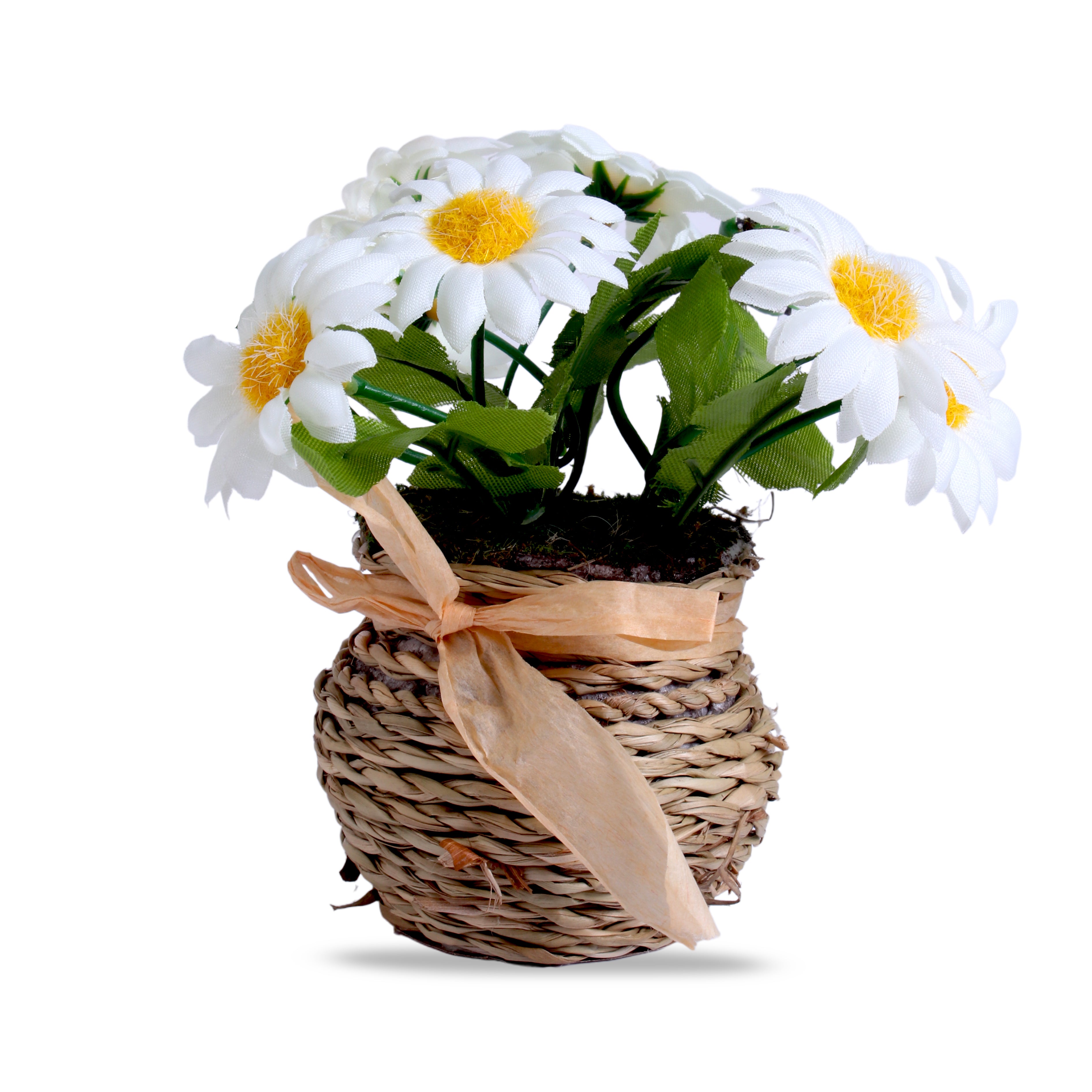 Artificial Flower Dasiy Basket White Delight 5Inch 1Pot