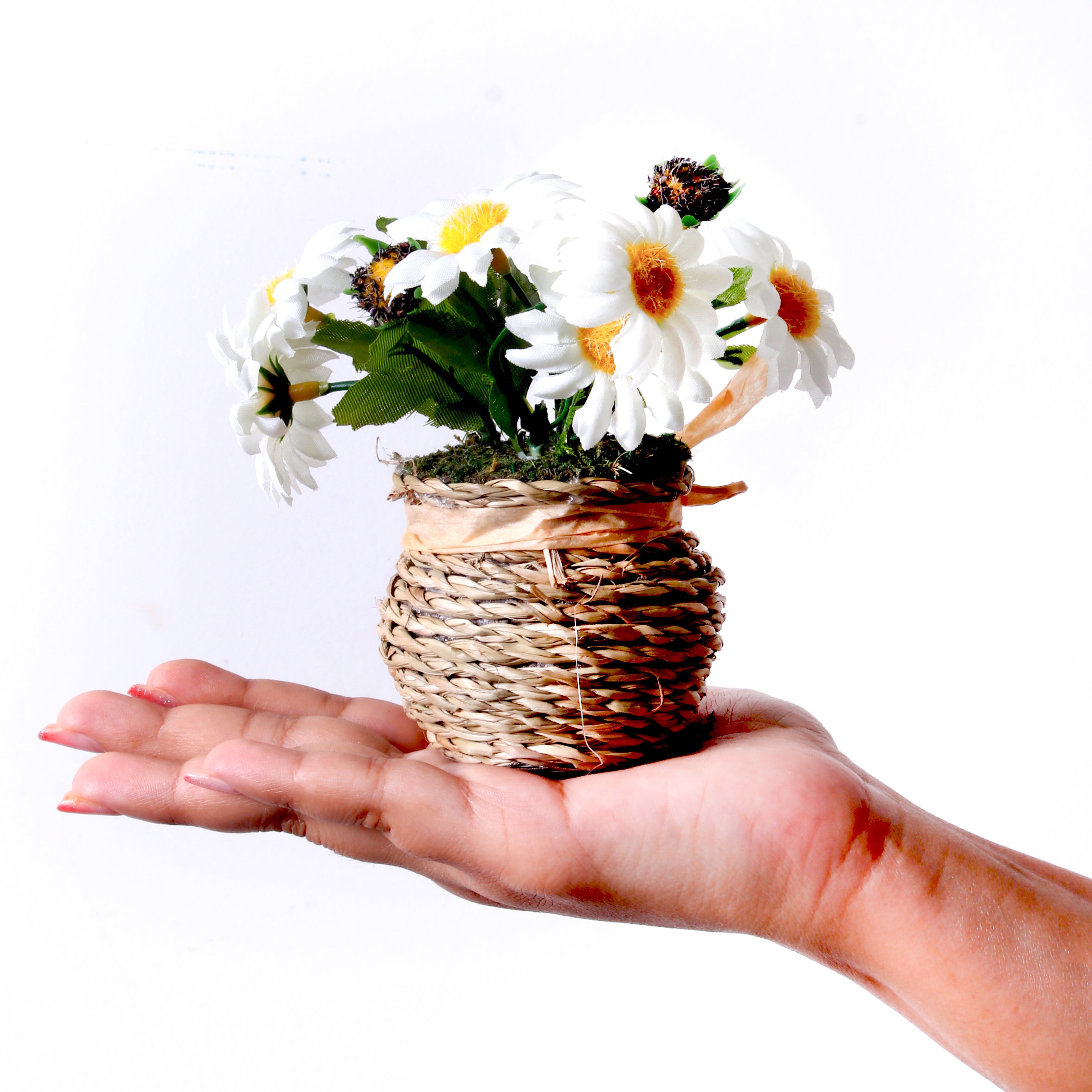 Artificial Flower Dasiy Basket White Delight 5Inch 1Pot