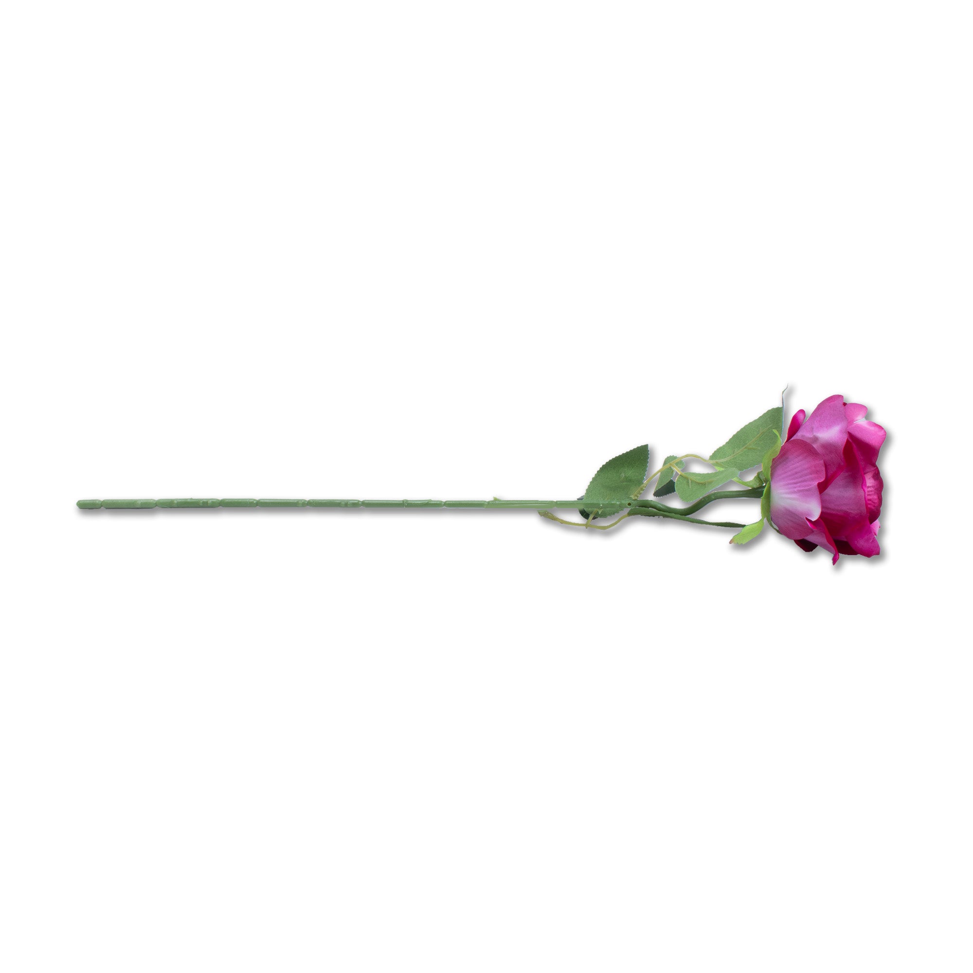 Artificial Flower Rose Lipstick Pink and White 20inch 1Stem