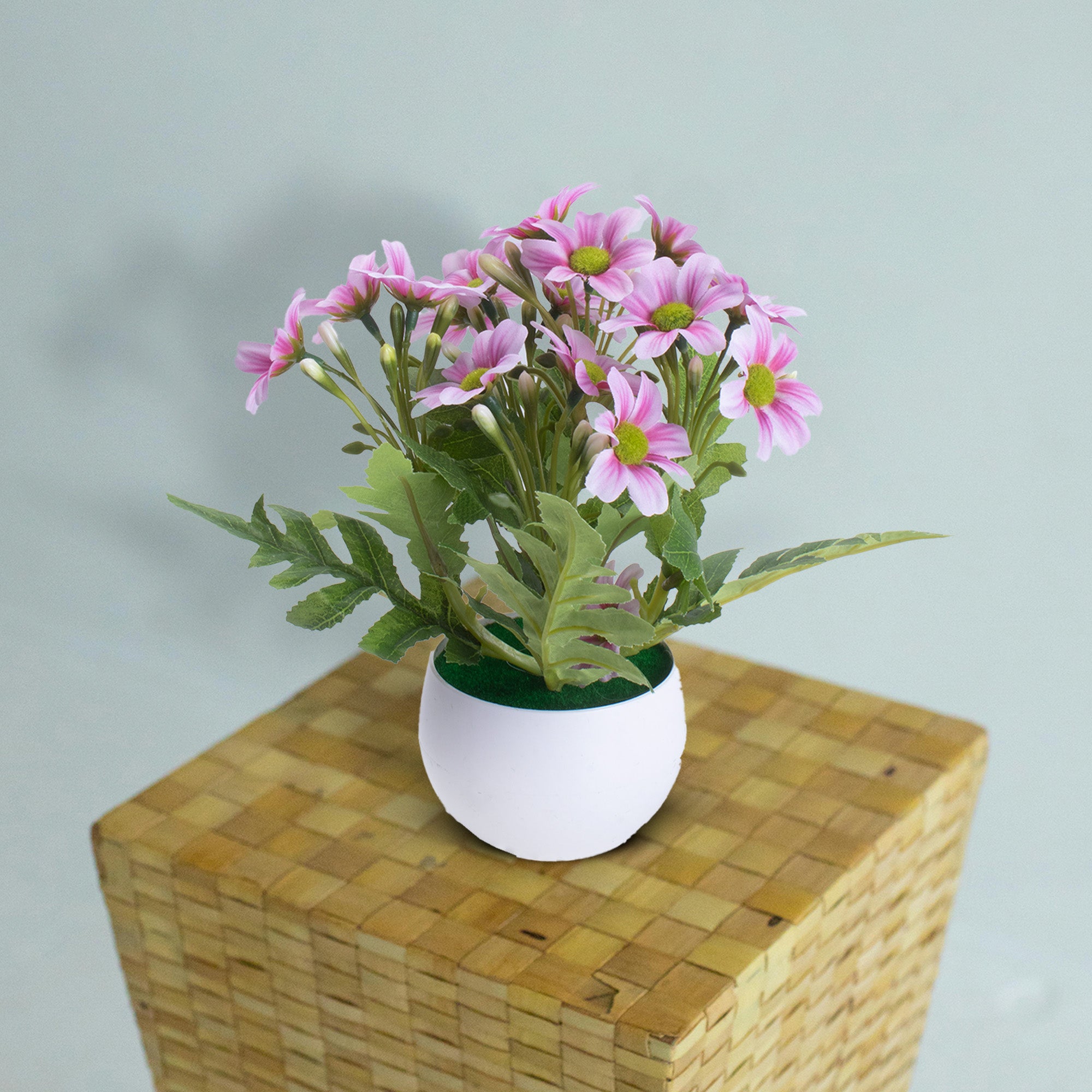 Artificial Flower in Pot Daisy Soft pink 8X7inch 1pc
