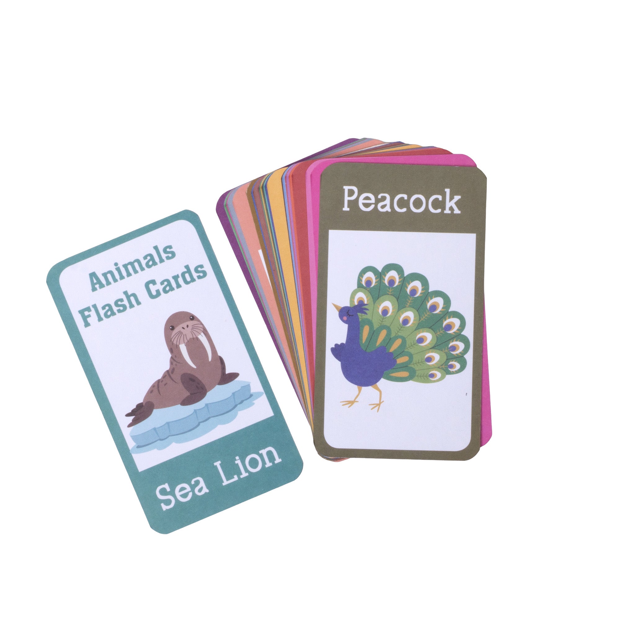 Animals Flash Cards L8.4 x W15cm 30pages 1Book