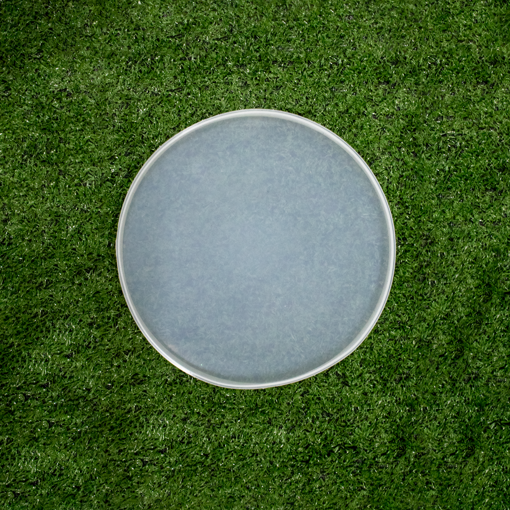 Silicone Mould Round Coaster 6inch Dia 1pc