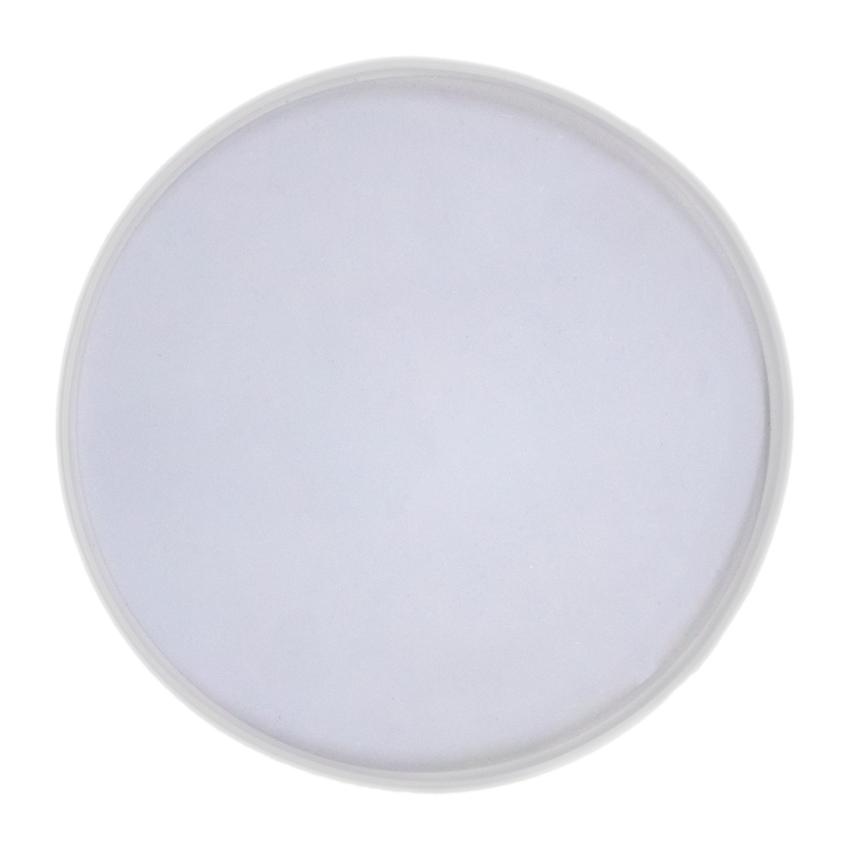 Silicone Mould Round Coaster 8inch Dia 1pc