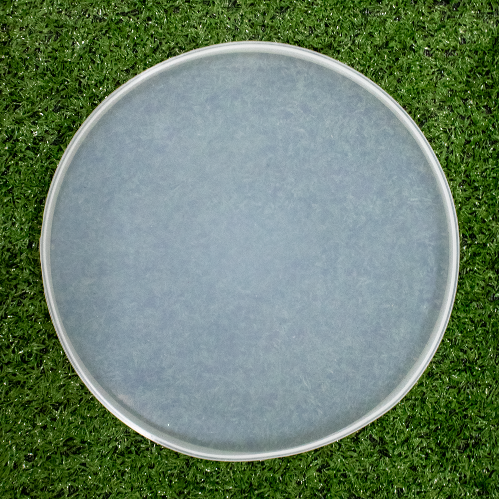 Silicone Mould Round Coaster 8inch Dia 1pc