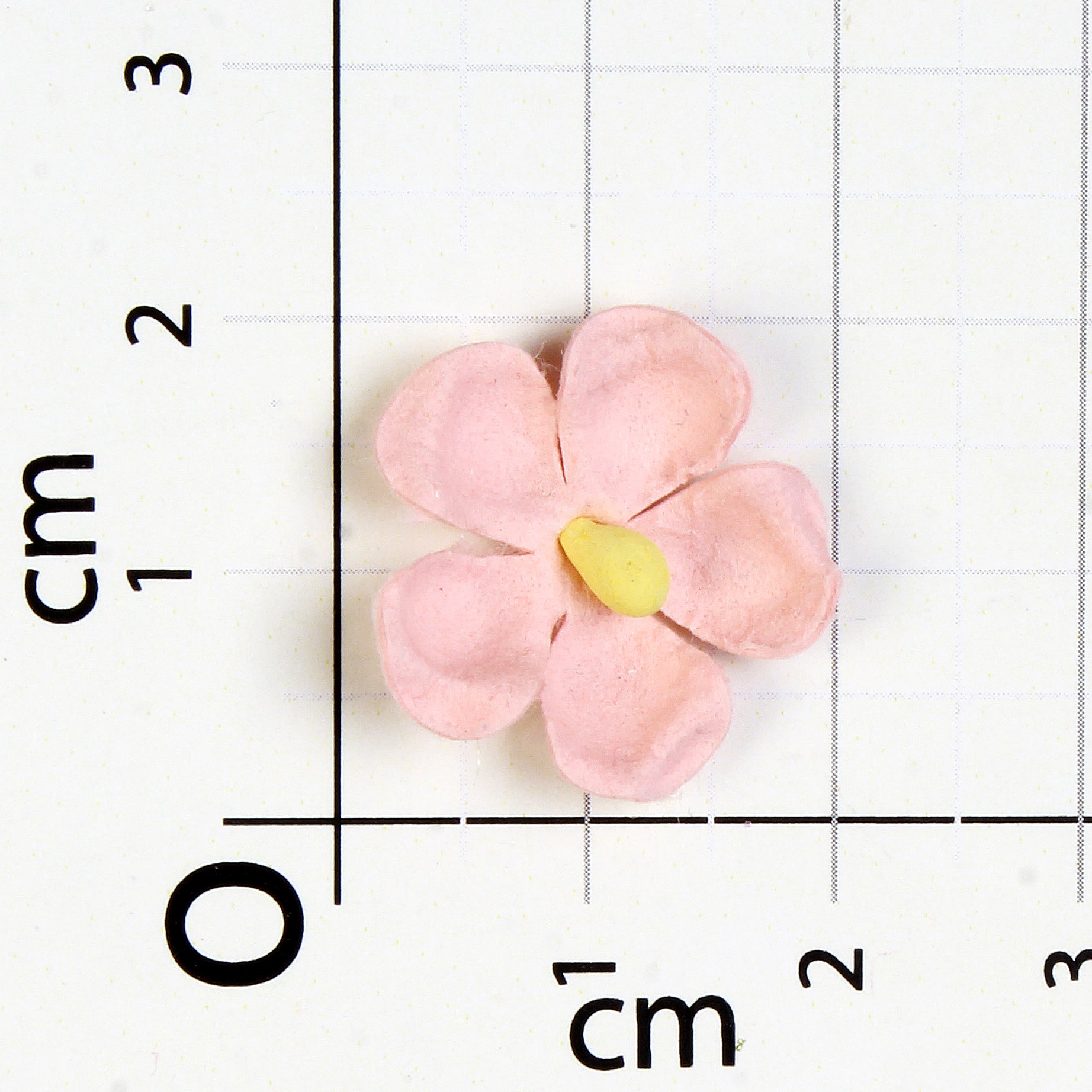 Handmade flowers Fairy Garden Paula Approx 2.1Cm 30Pc Pbci Lb