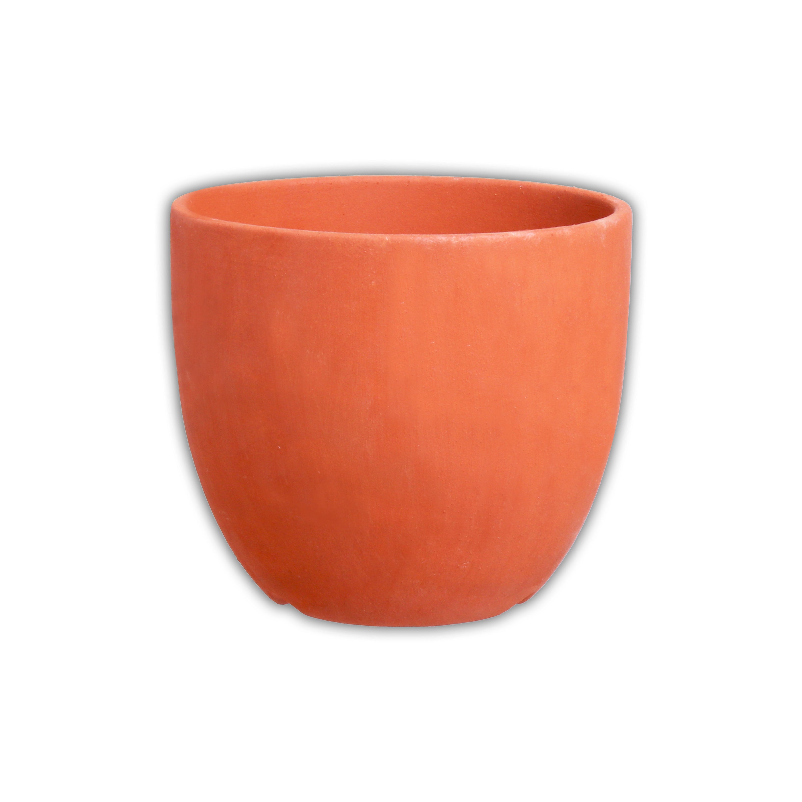 DIY Plantable Ganesha Kit 1 Box