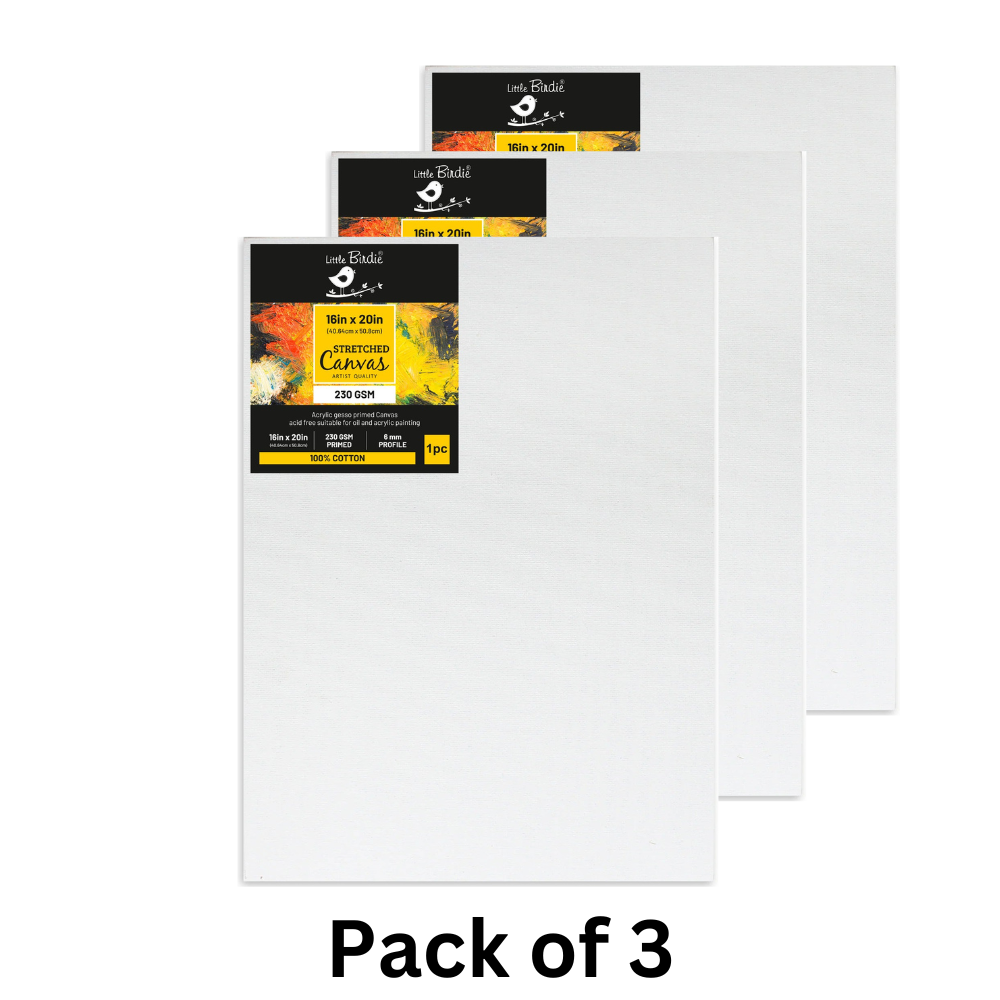 Stretched Canvas Frame 16X30Mm 230Gsm 16 X 20Inch 1Pc (Pack OF 3)