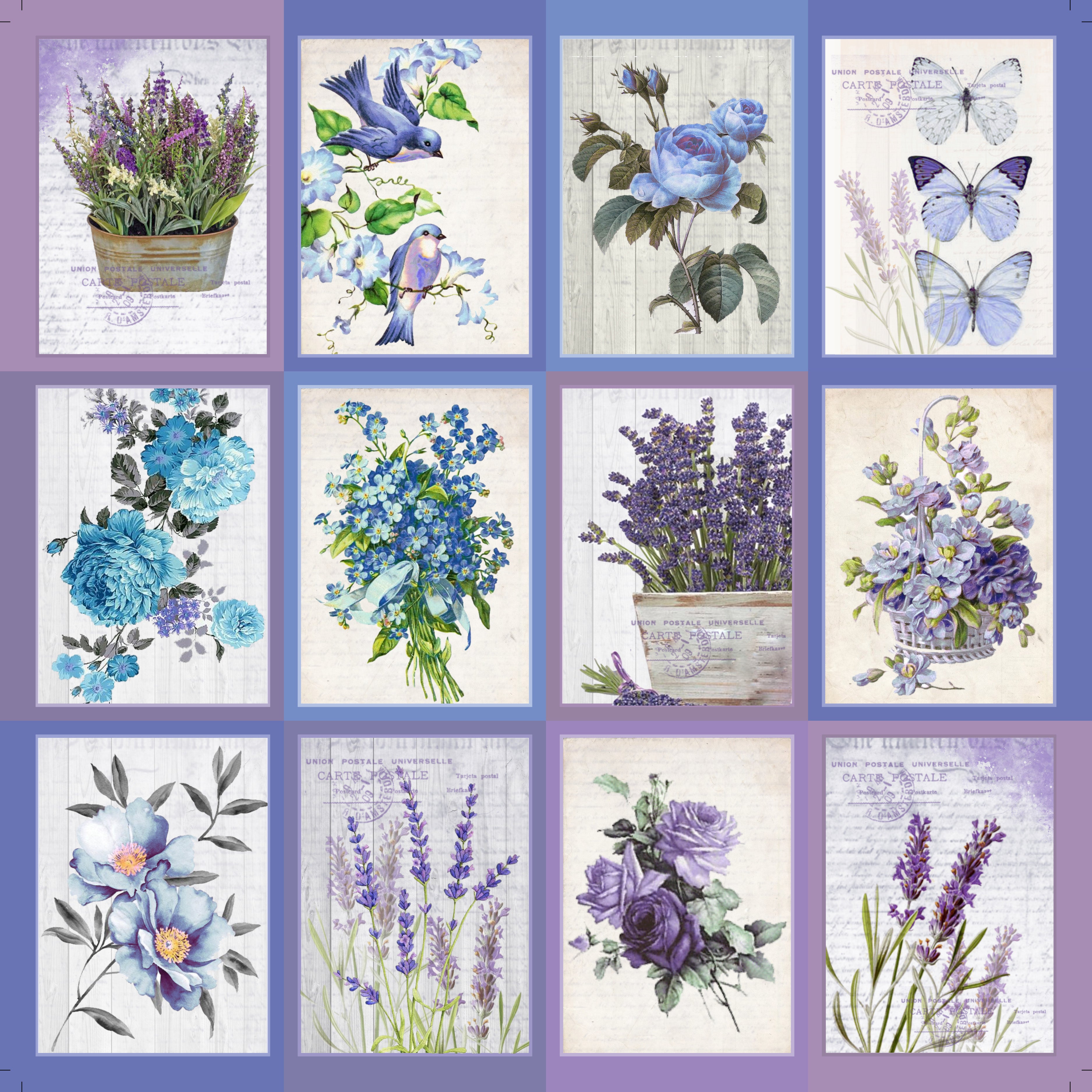 Paper Pack 12In X 12In Purple Passion 12Sheets 250Gsm Lb