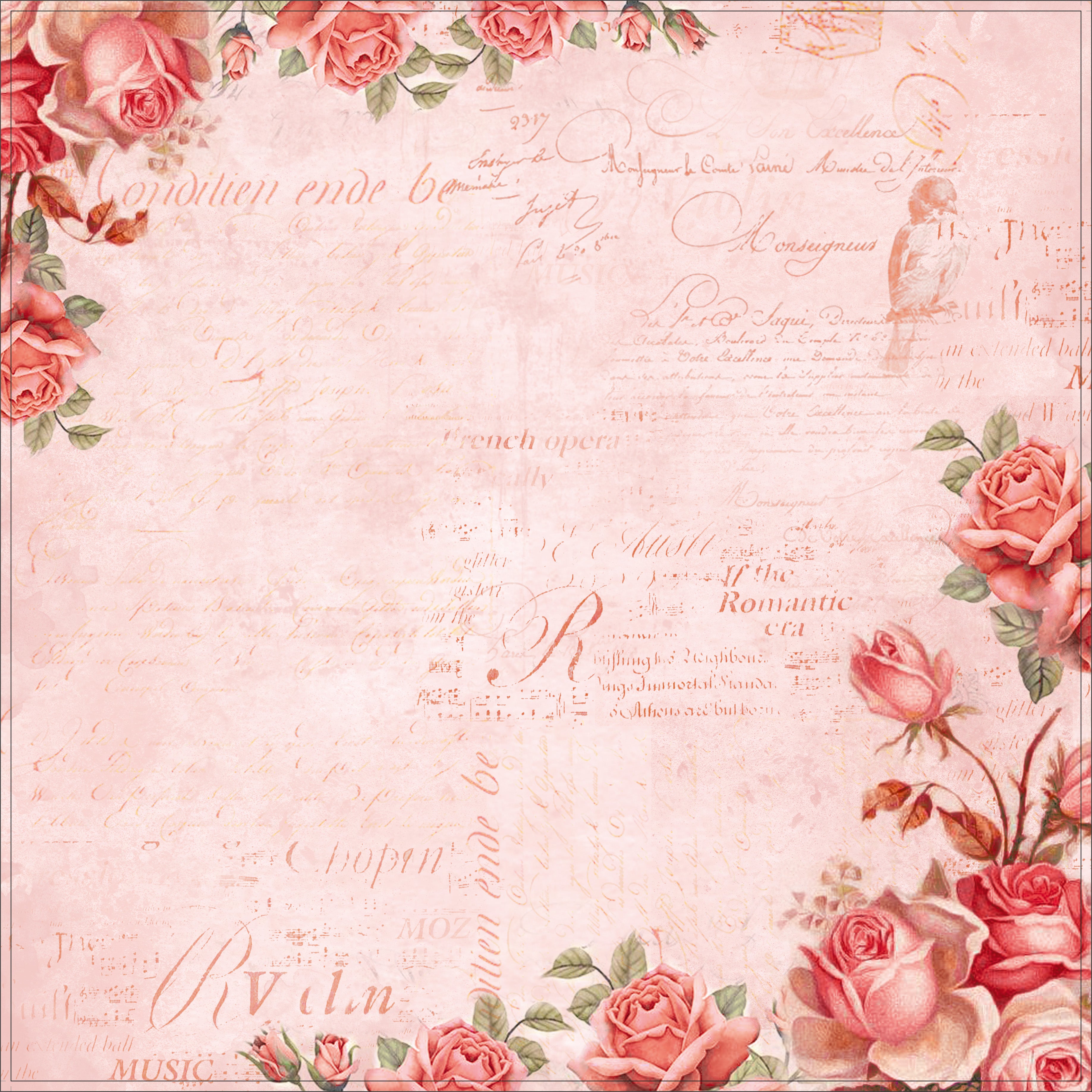 Paper Pack 12In X 12In Poppies & Roses 12 Sheets 250Gsm Lb