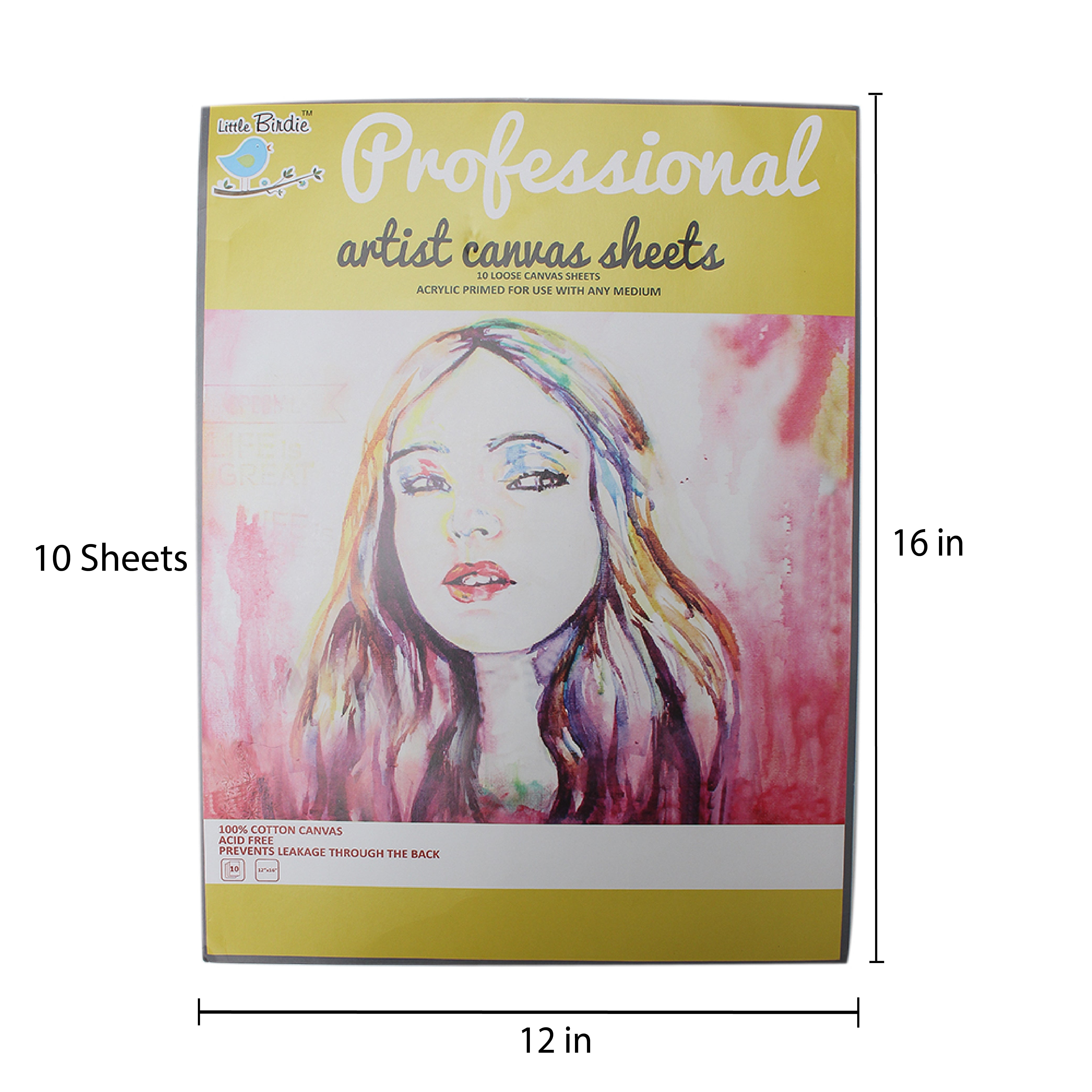 Canvas Sheets 12 X 16Inch 10Sheets