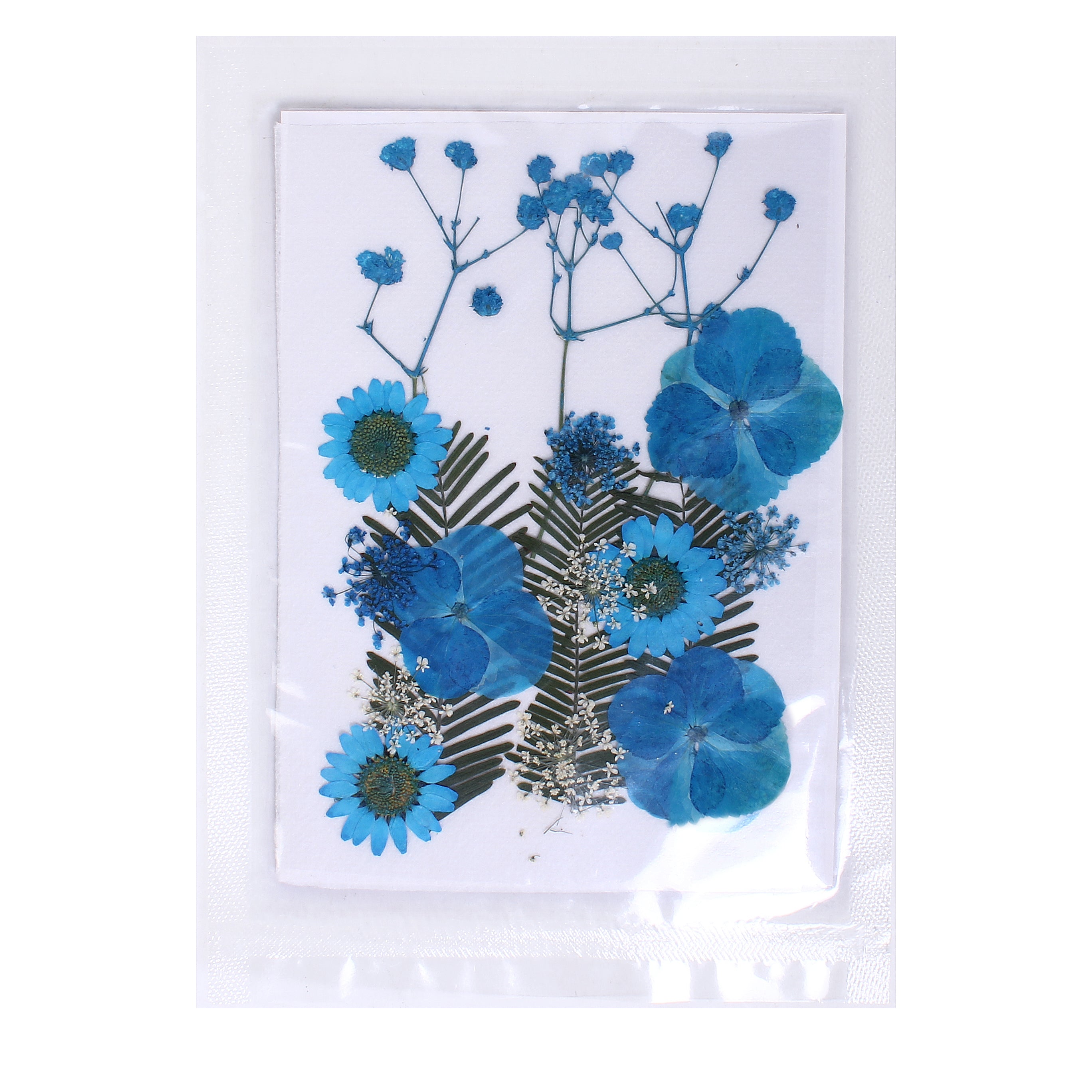Assorted Natural Dried Pressed Flowers Aqua Blooms 18Pc Pouch Ib
