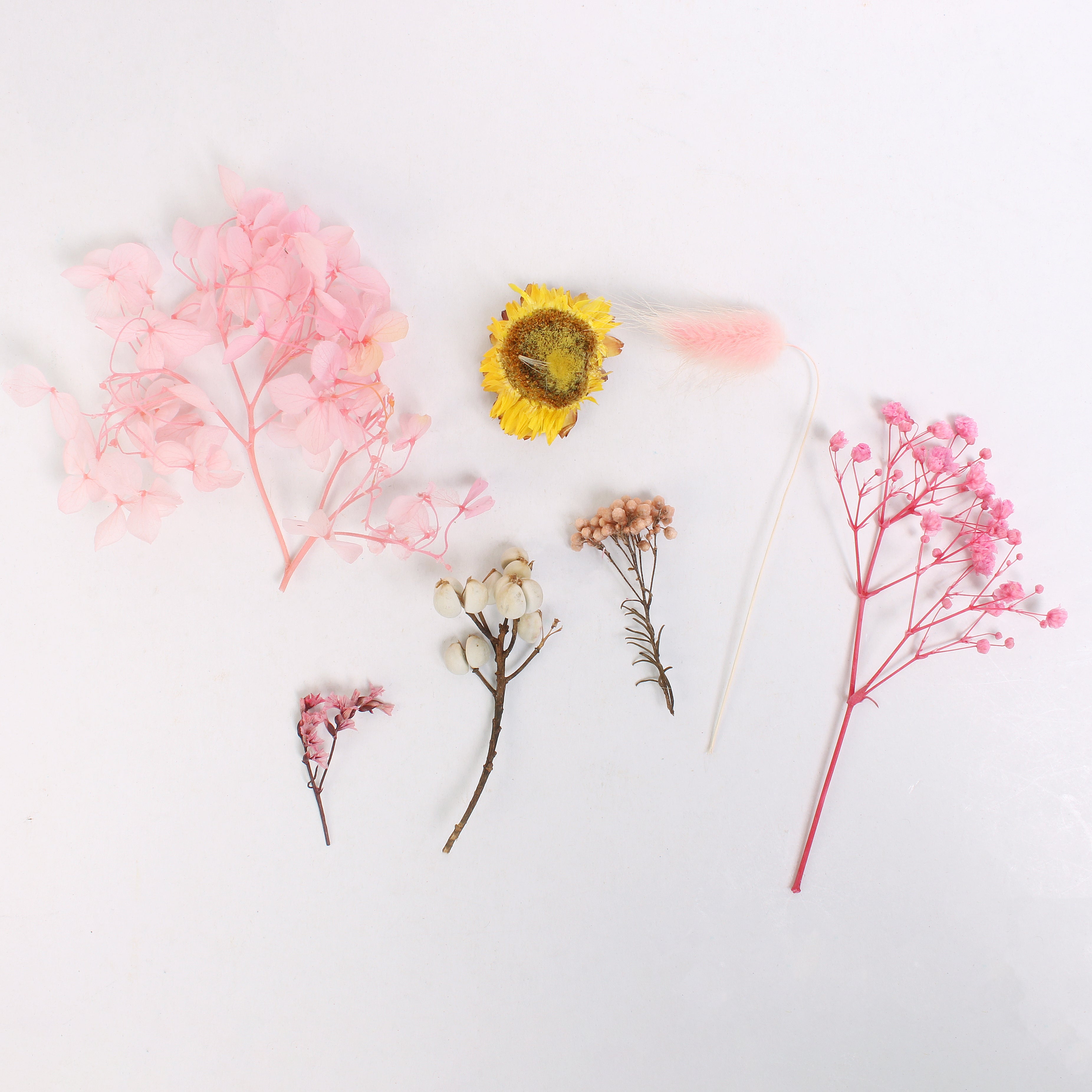 Assorted Natural Dried Flowers Rosy Glow Blossoms 1Box Ib