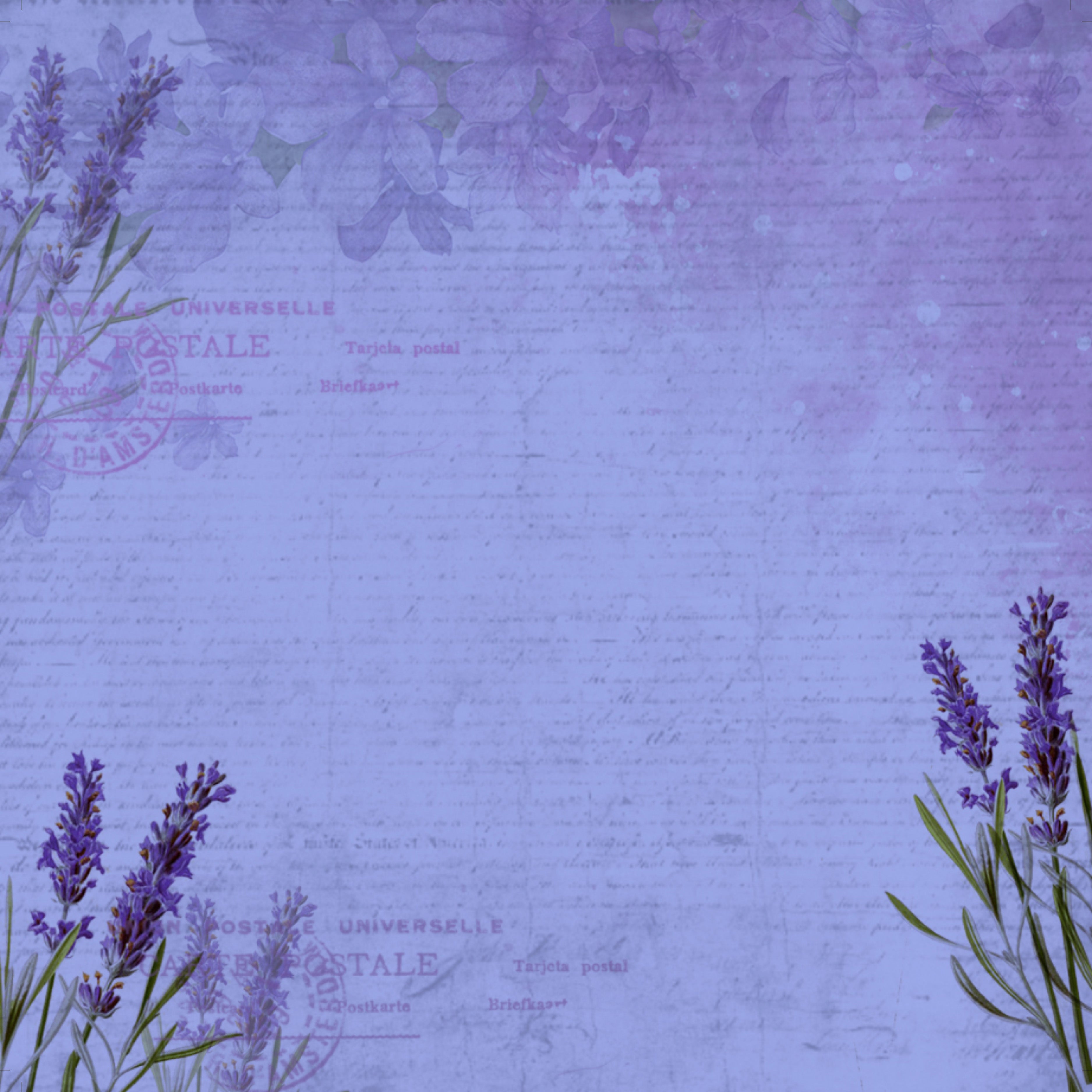 Paper Pack 12In X 12In Purple Passion 12Sheets 250Gsm Lb