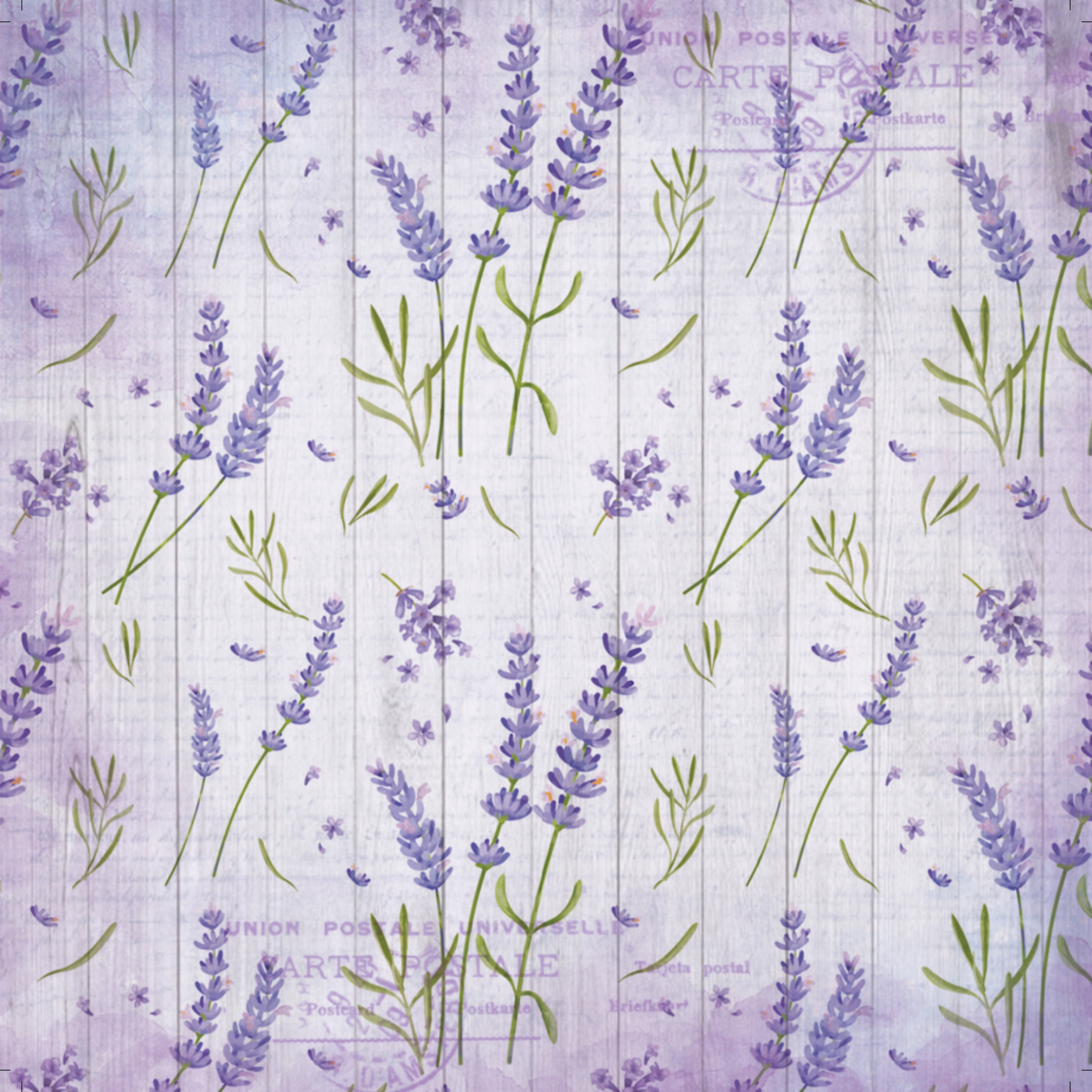 Paper Pack 12In X 12In Purple Passion 12Sheets 250Gsm Lb