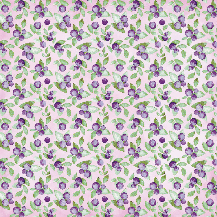 Paper Pack 6In X 6In 12Desx2 Birds And Berries 24Sheet Lb