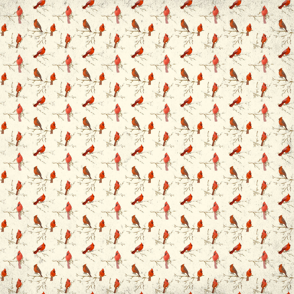 Little Birdie 12 x12 inch Printed Cardstock pack- Merry Christmas, 12 Sheets, 12 Designs, 250 gsm