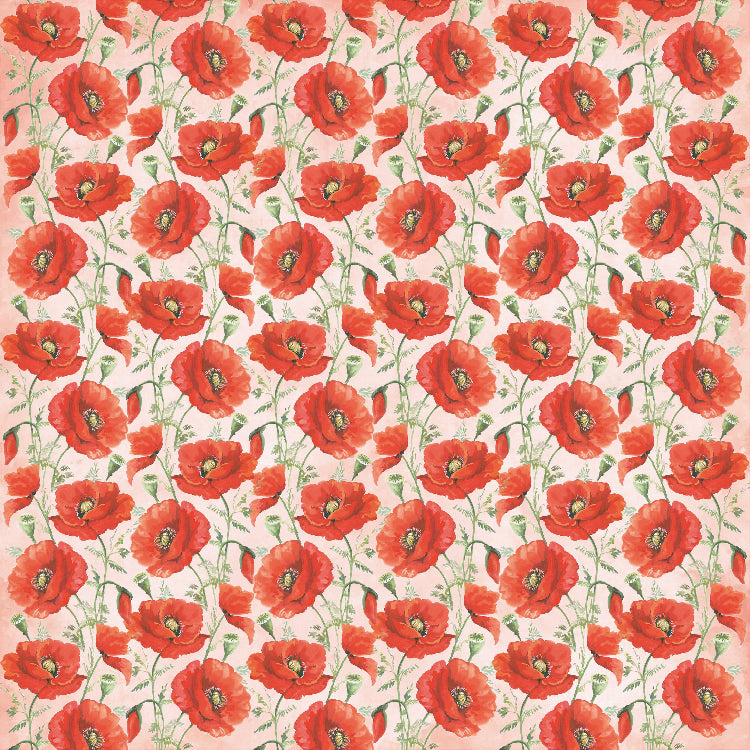 Paper Pack 6In X 6In 12Des X 2 Poppies & Roses 24 Sheets 250Gsm Lb