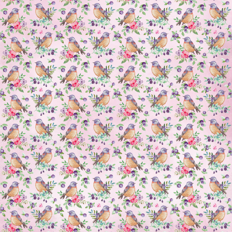 Paper Pack 6In X 6In 12Desx2 Birds And Berries 24Sheet Lb
