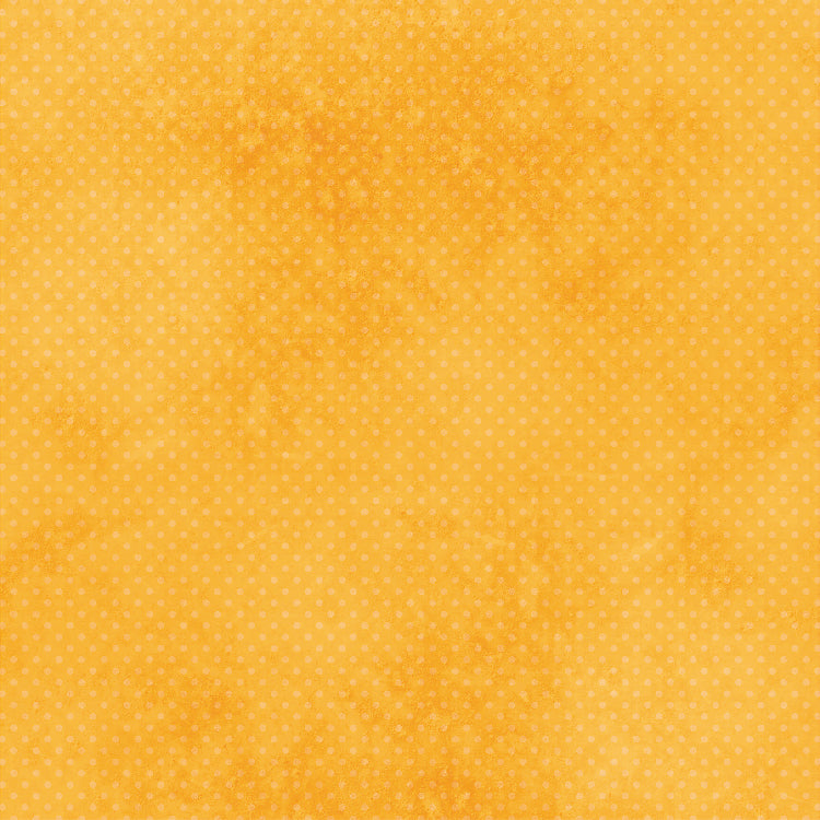 Paper Pack 6In X 6In 12Desx2 Boho Vibes(Dreams) 24Sheet Lb