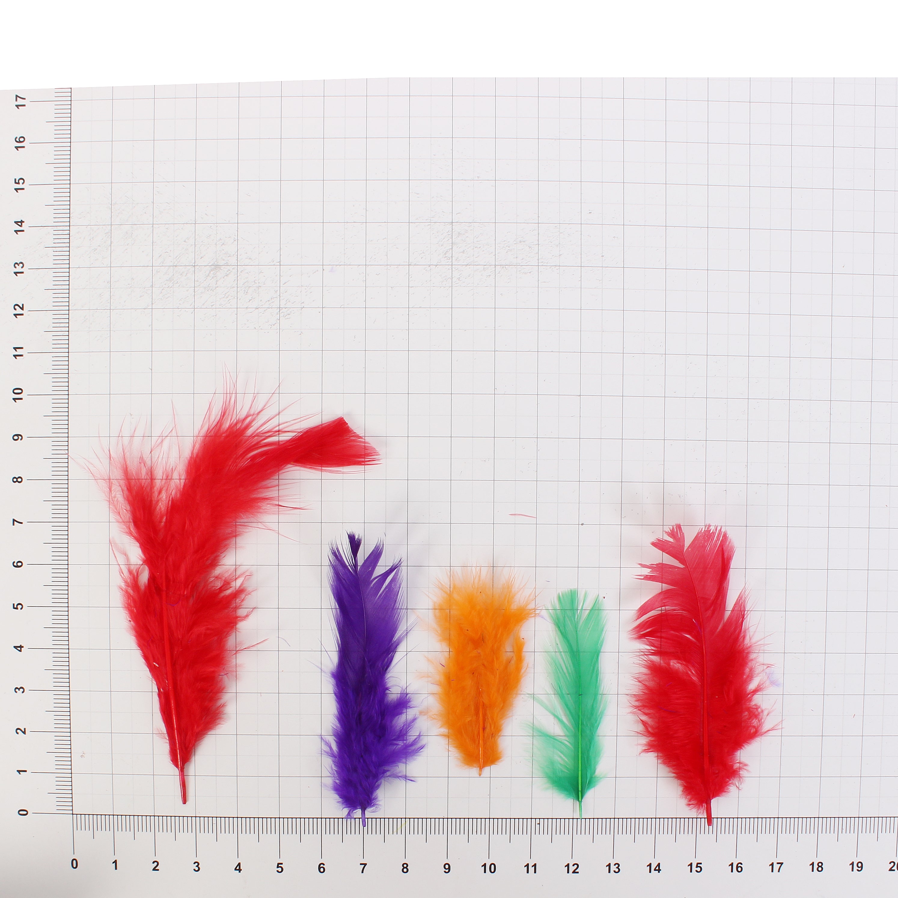Feathers Assorted 90pcs