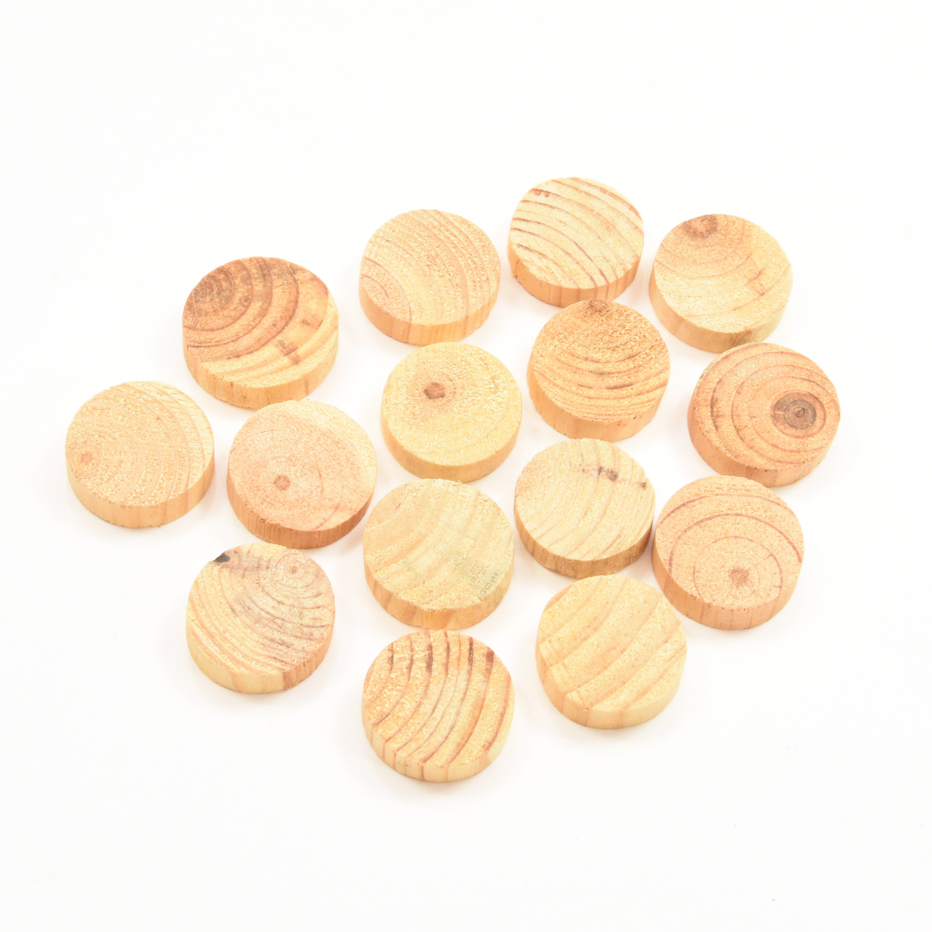 Wooden Slice - 1, 50gm