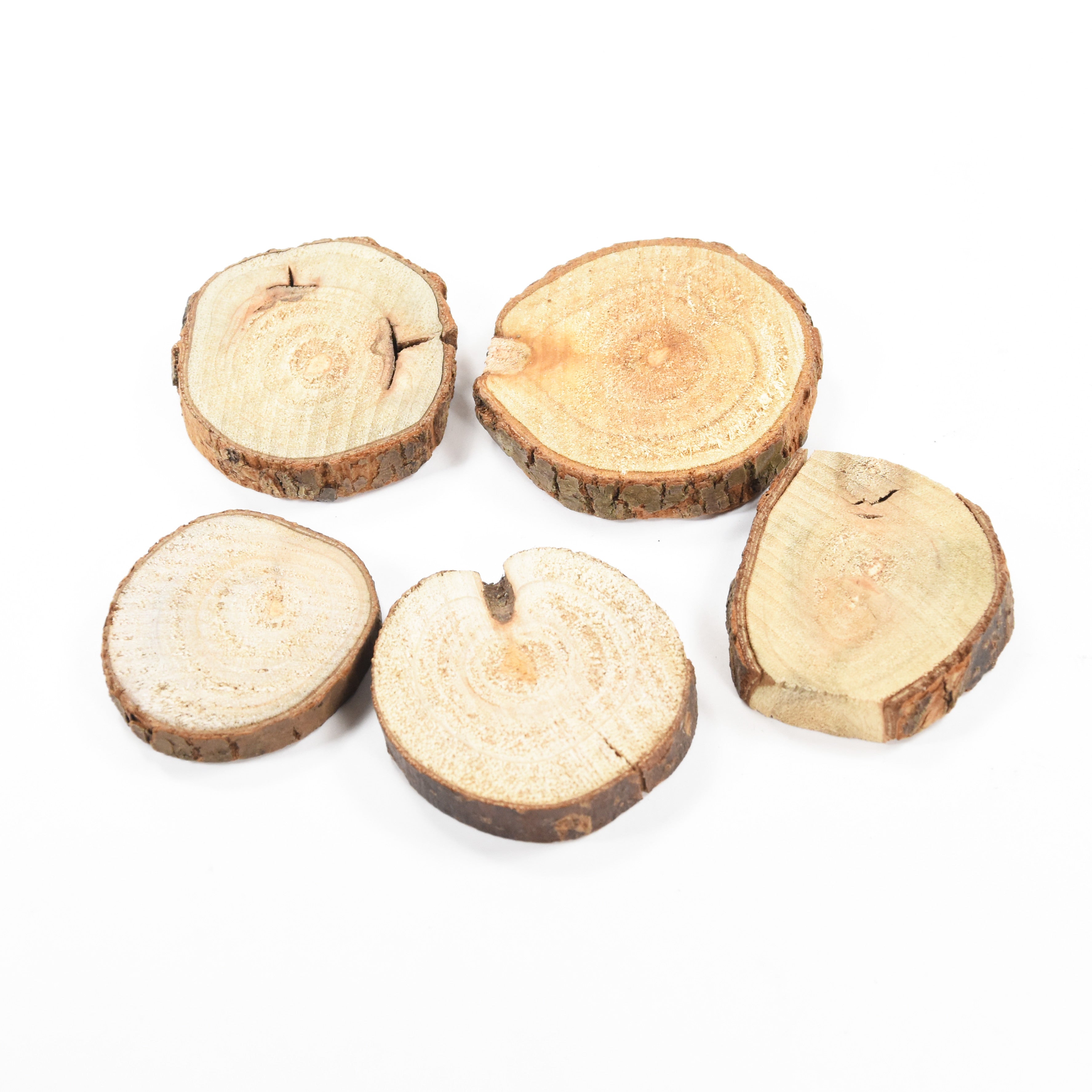 Wooden Slice - 1.5  Approx, 5Pc