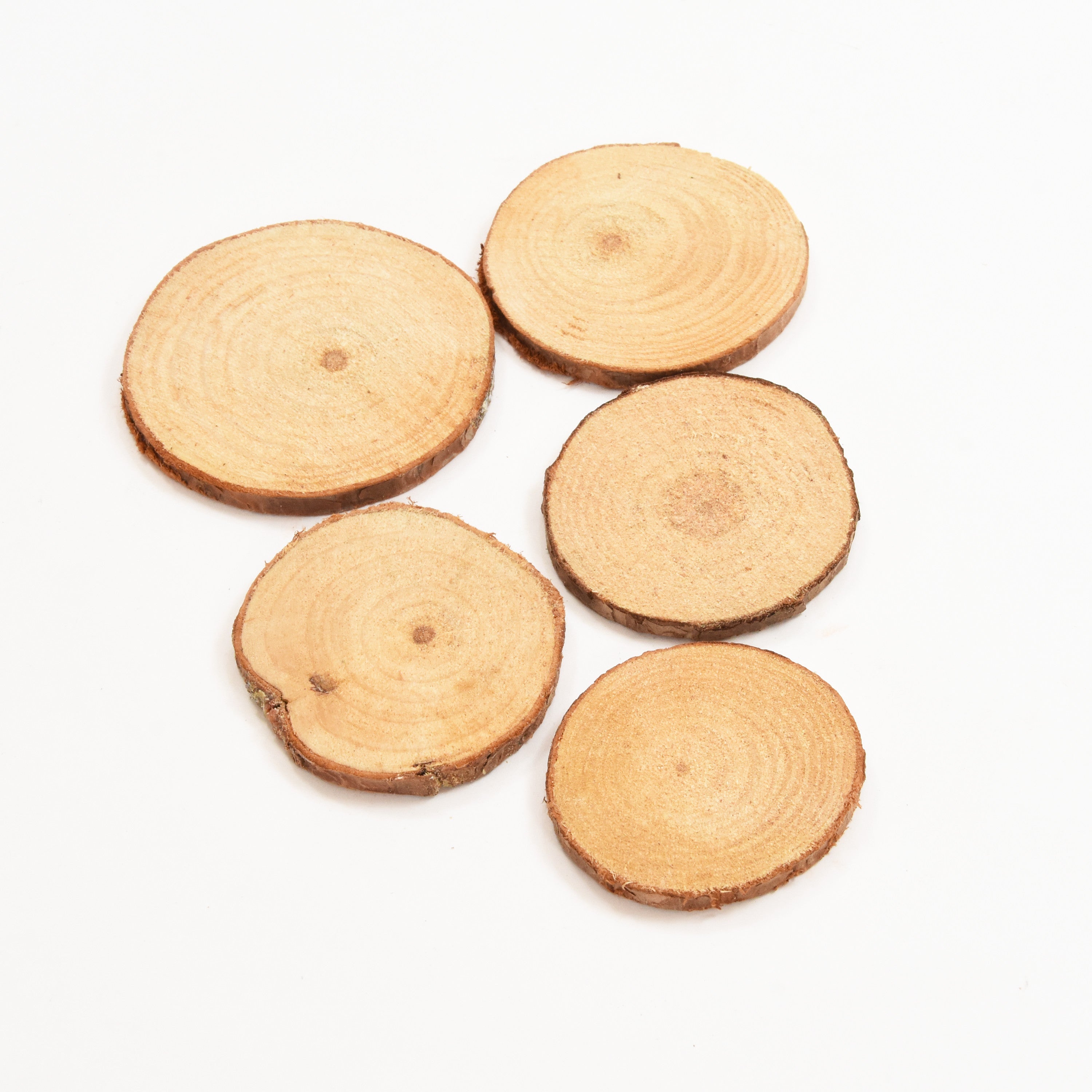 Wooden Slice Assorted Sizes  - 5Pc