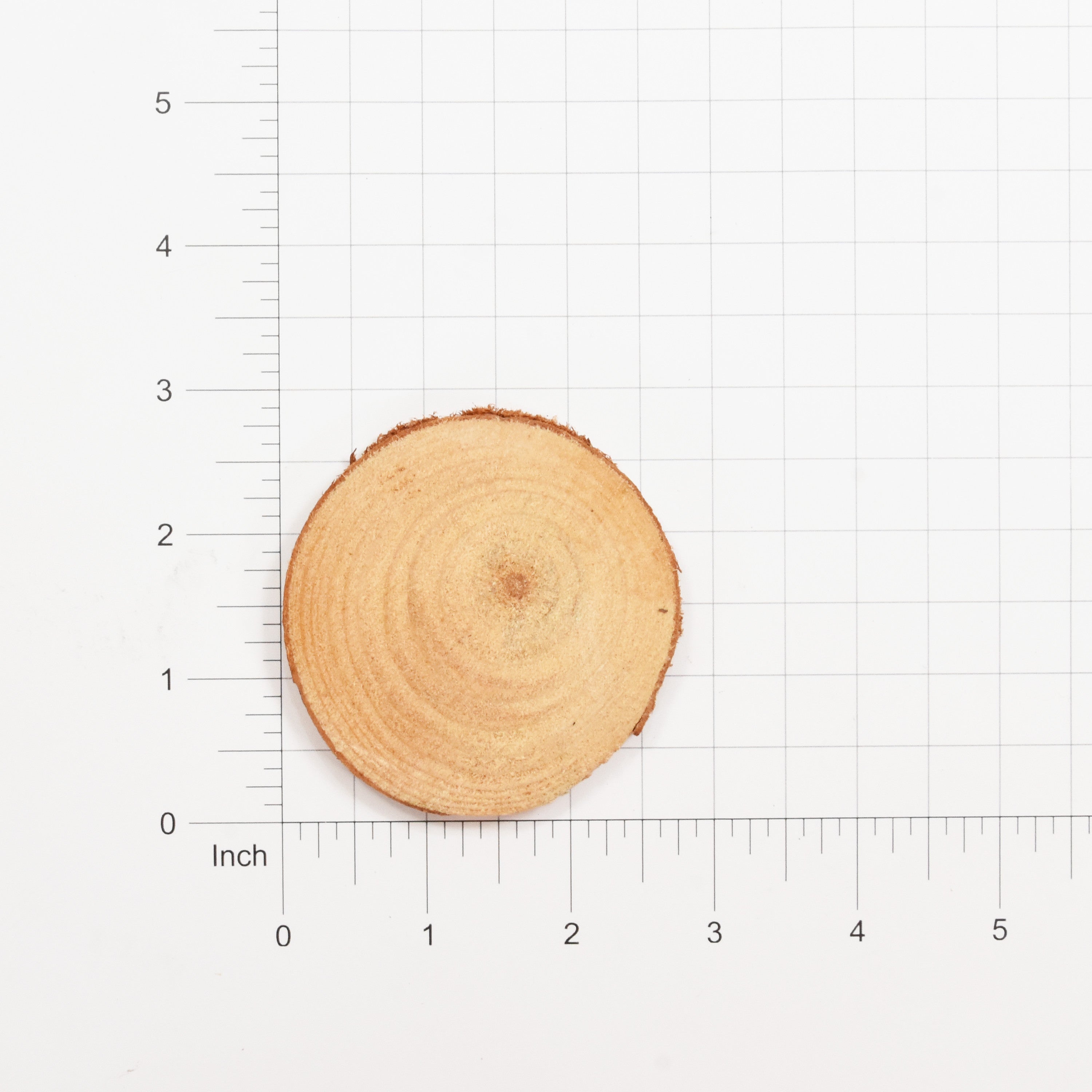 Wooden Slice Assorted Sizes  - 5Pc