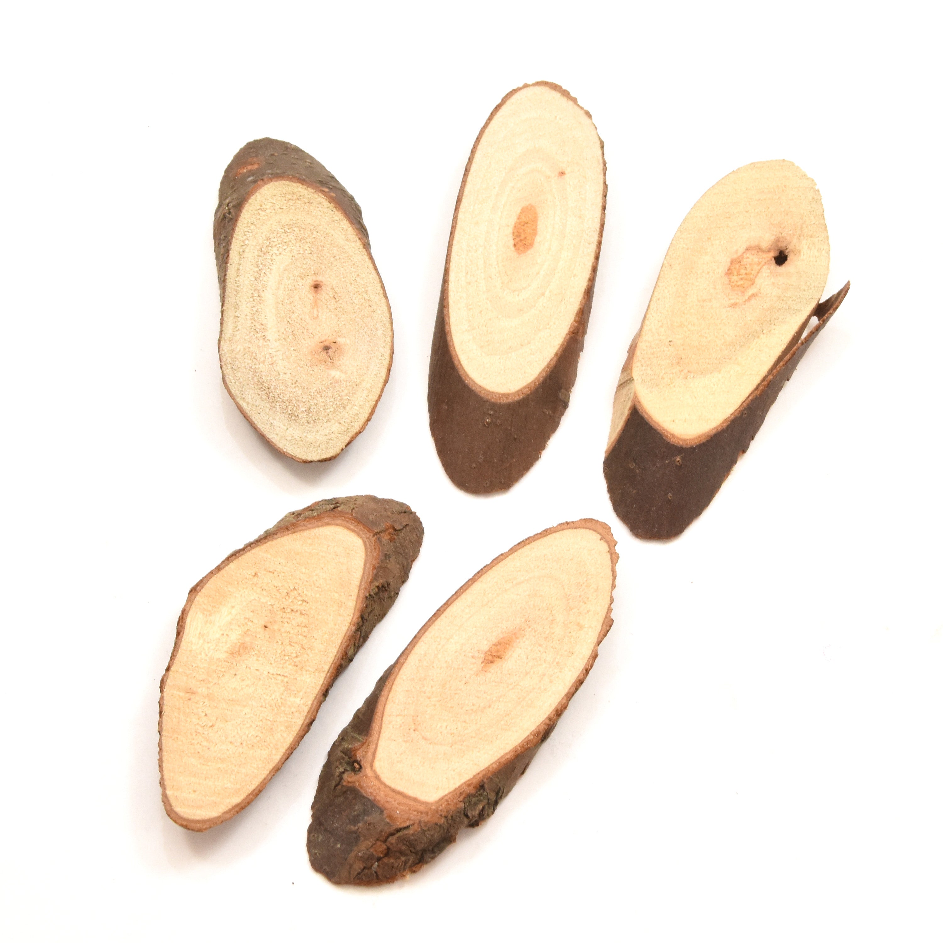 Craft Wood Slices - Oval, Small - 3, 5Pc