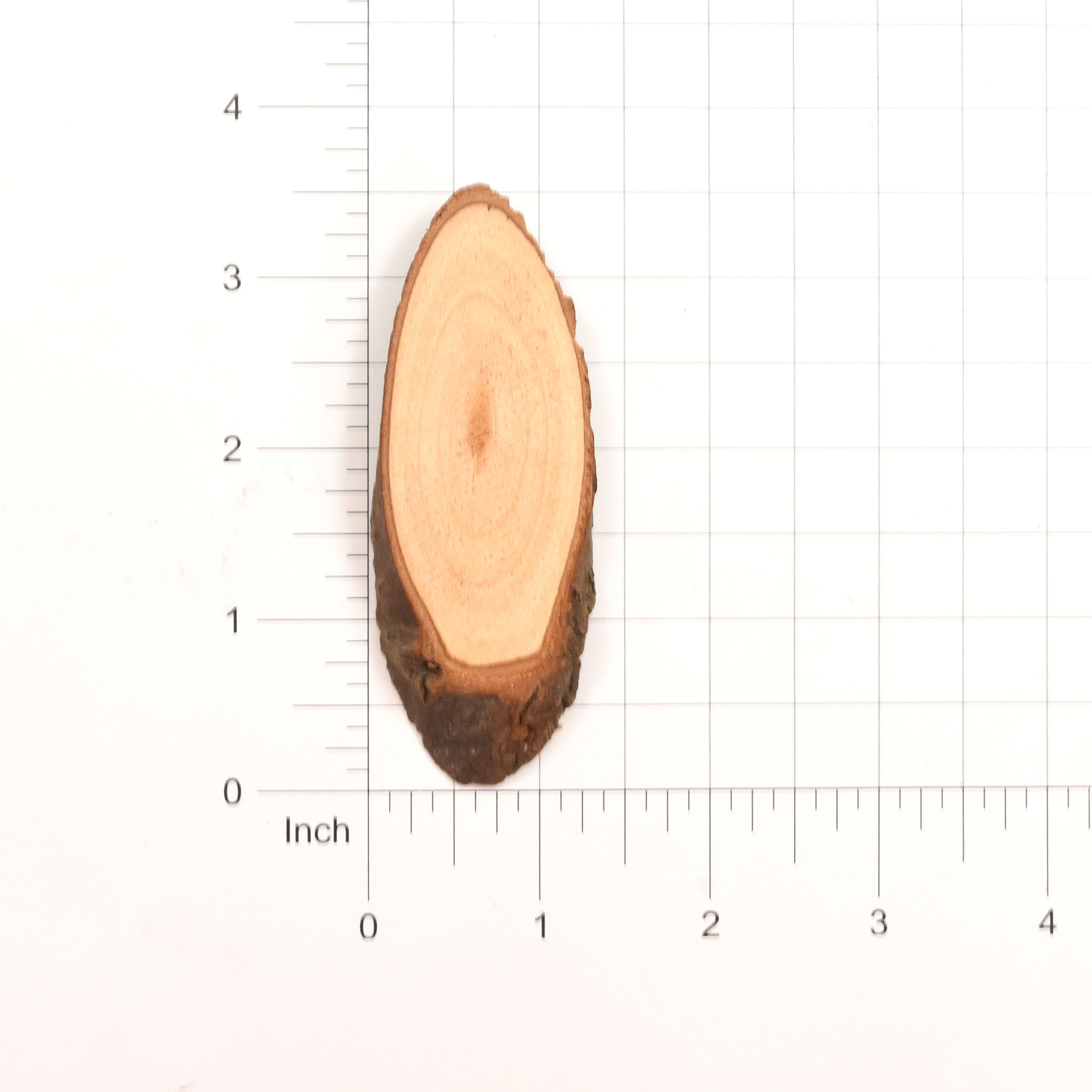 Craft Wood Slices - Oval, Small - 3, 5Pc