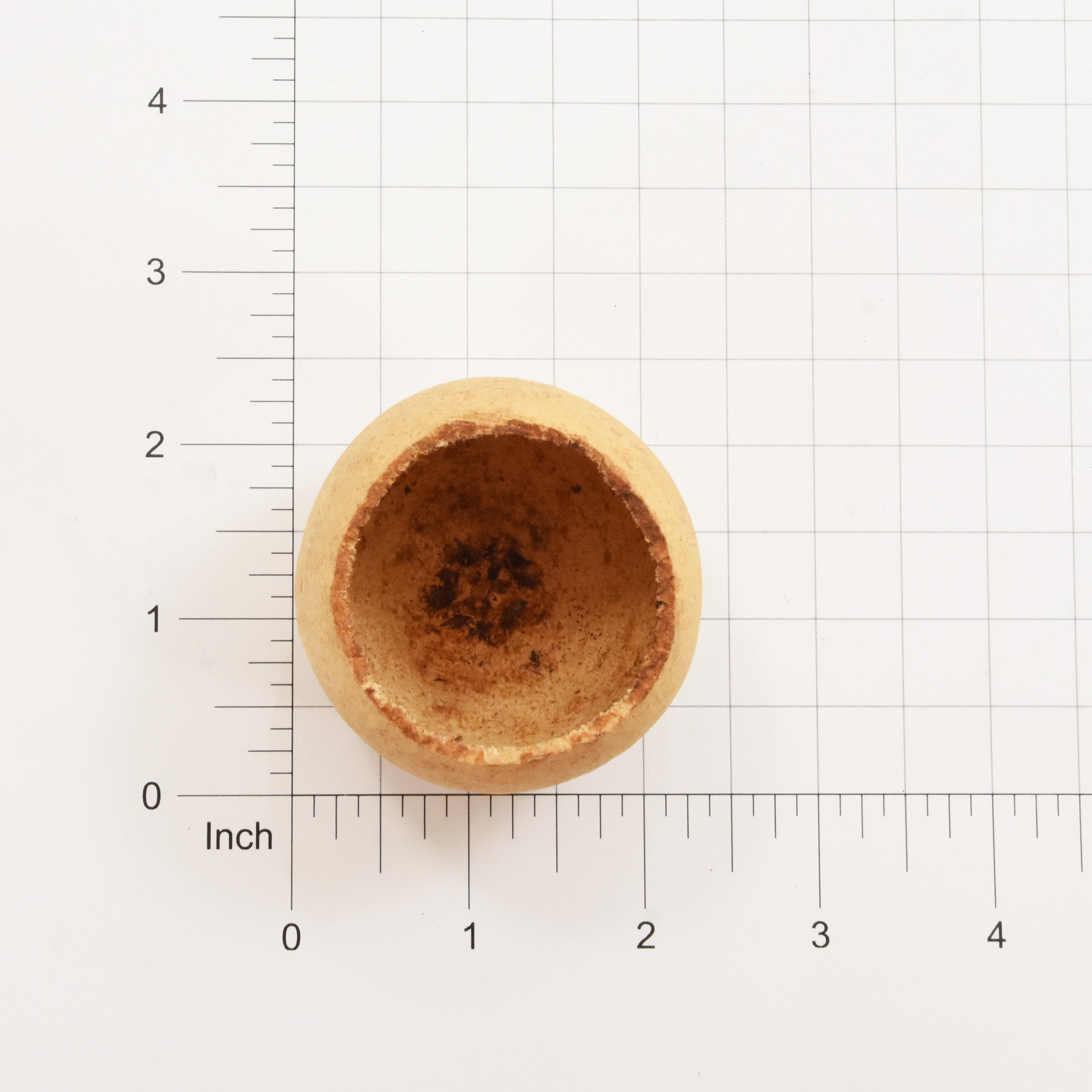 Bell Cup Natural, 2Pc
