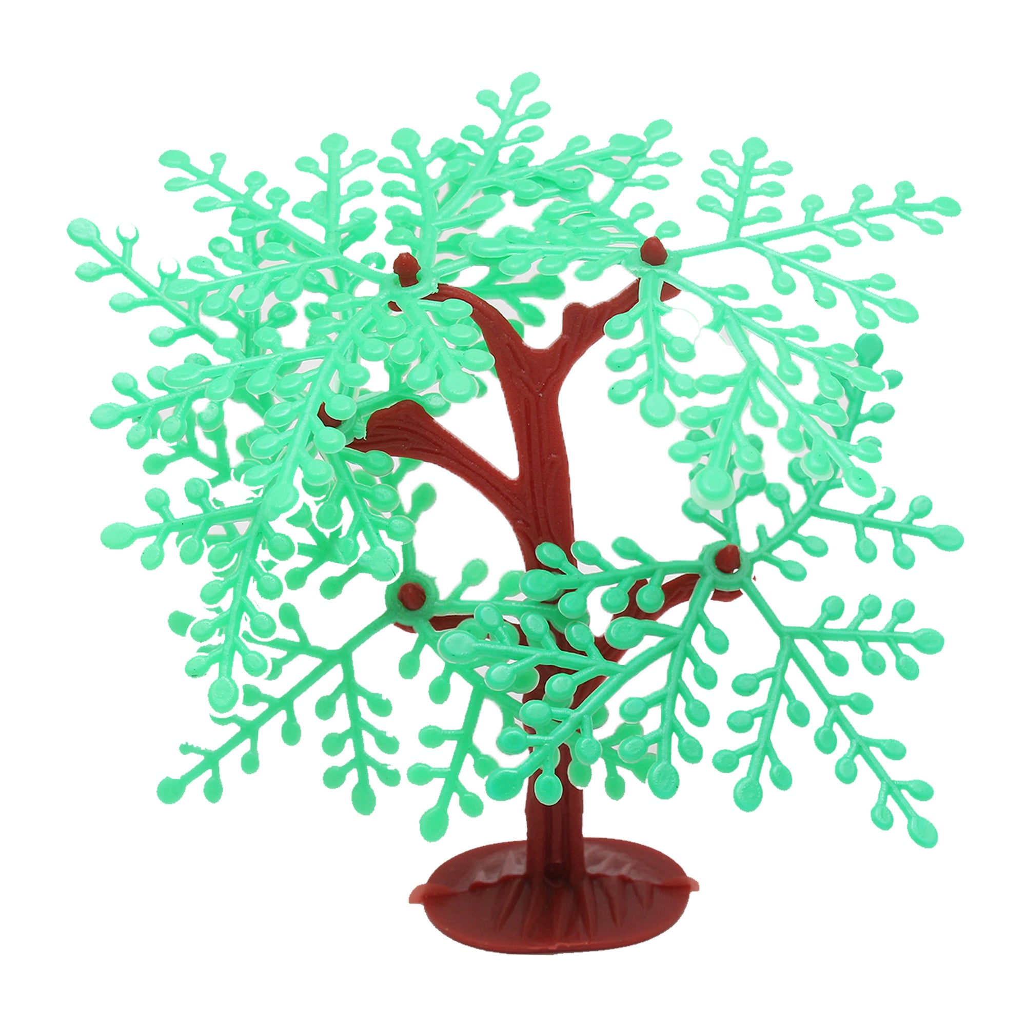 Banyan Tree Big 1Pcs