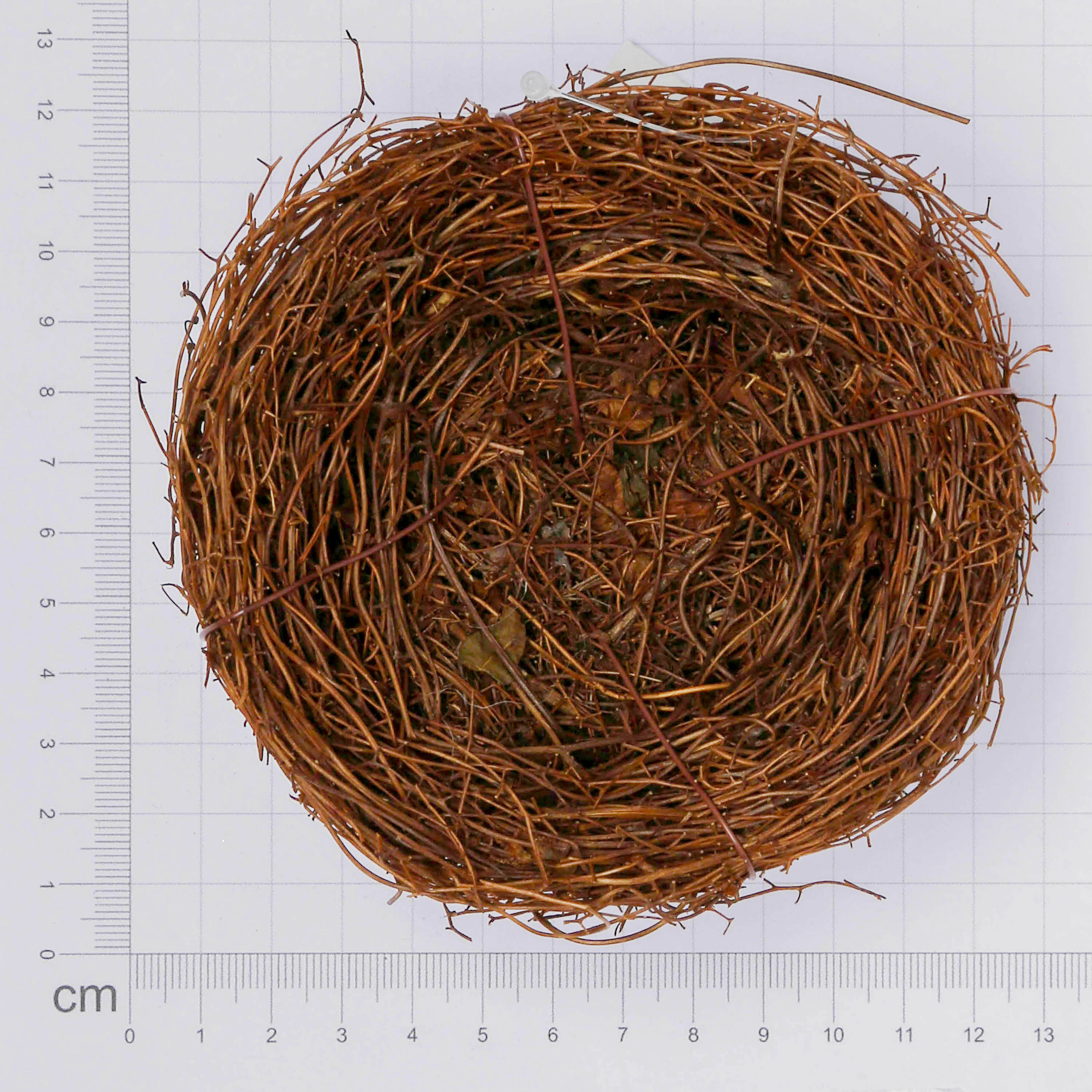 Bird Nest 10Cm1 Pc Ib
