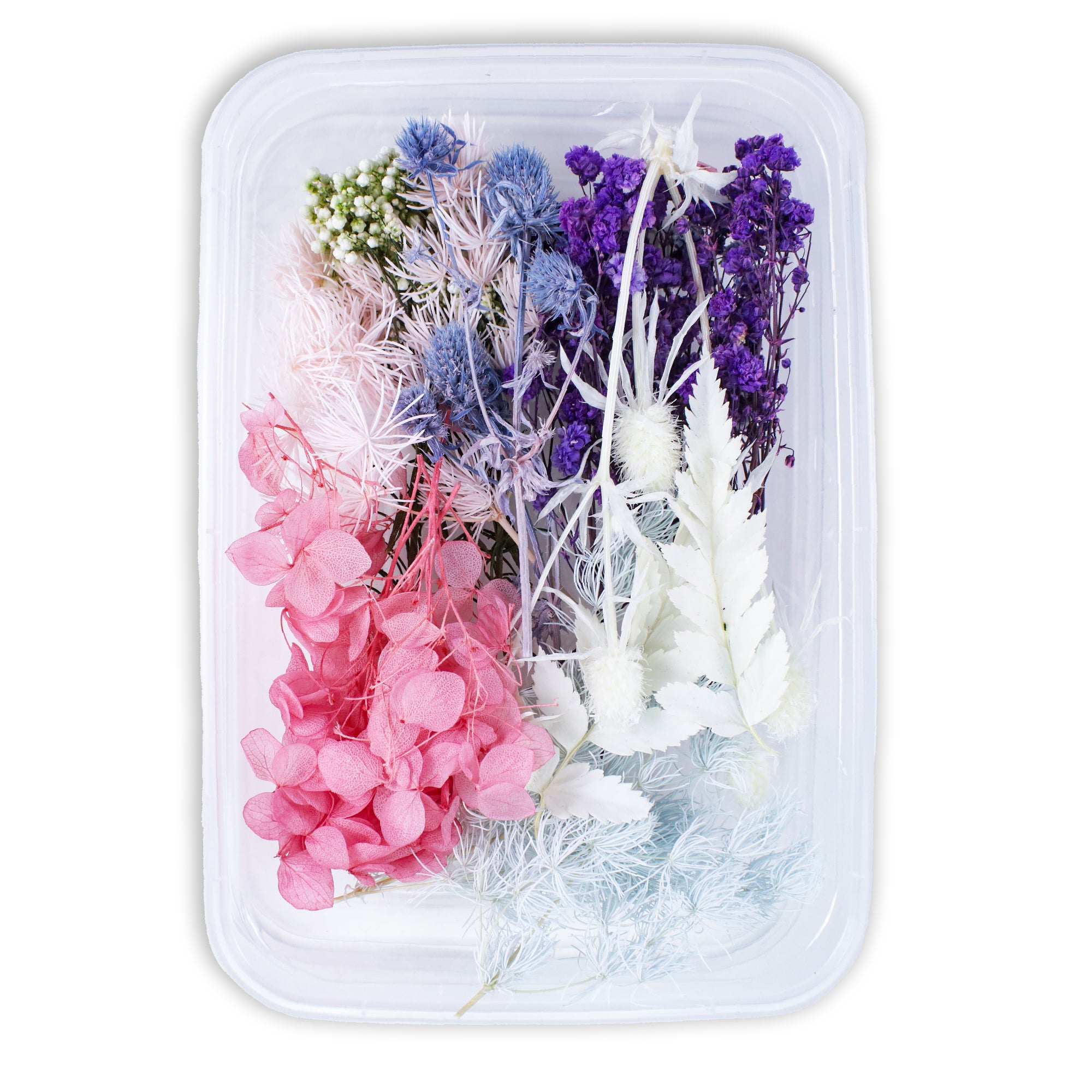 Resin Art Natural Dried Flowers Showy Blossoms 1 Box Ib